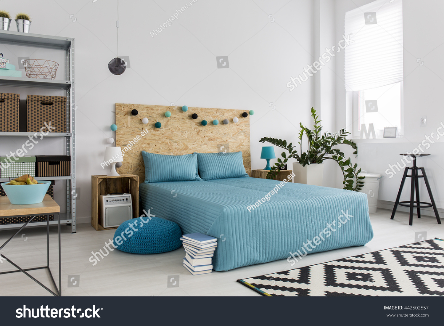 Spacious bedroom with large bed  blue bedding and simple  new furniture  white walls