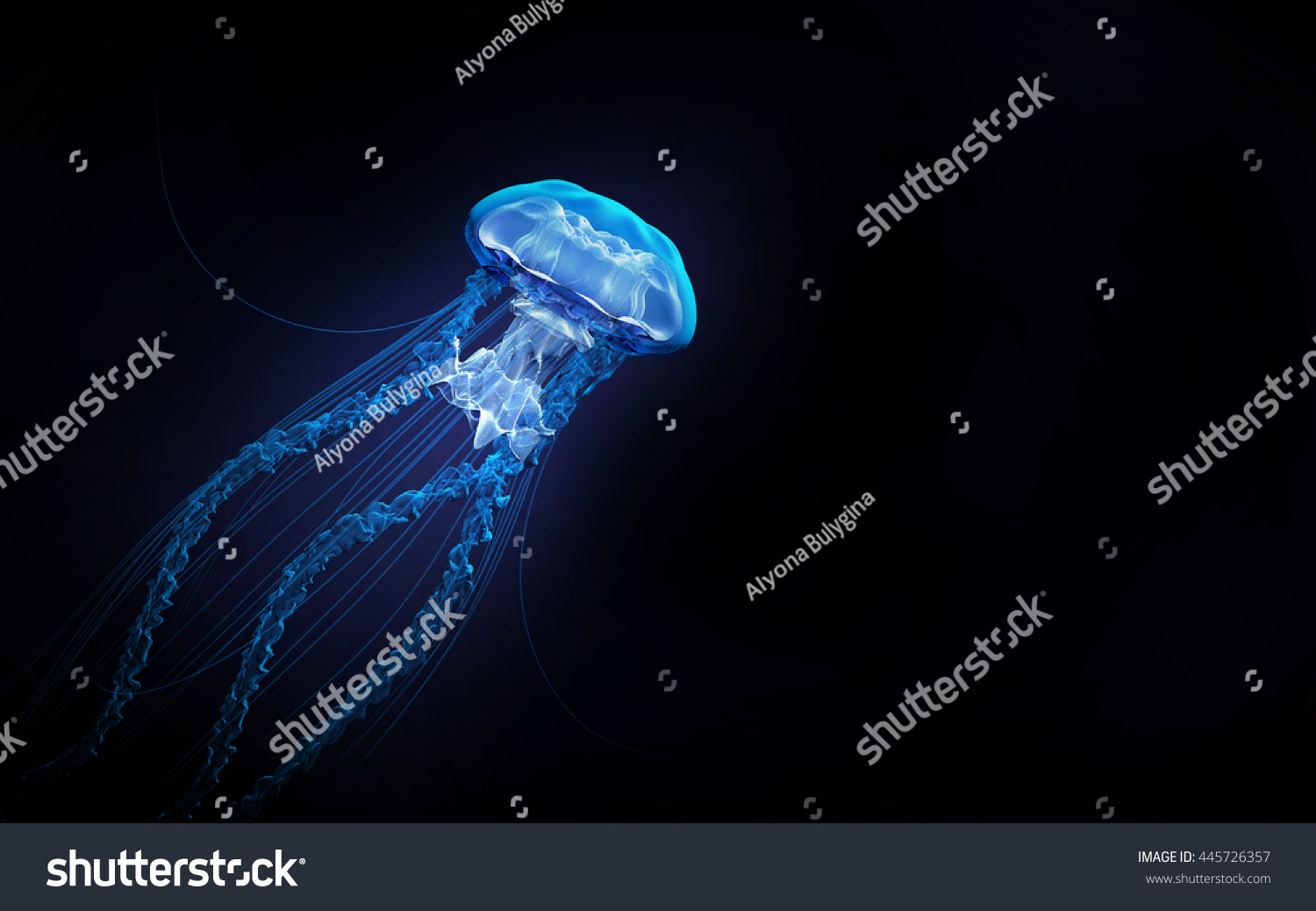 3d jellyfish