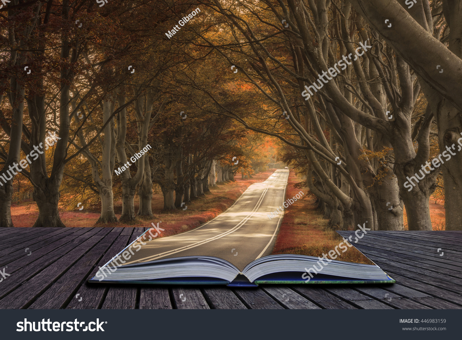 Stunning alternate colored surreal forest woodland landscape