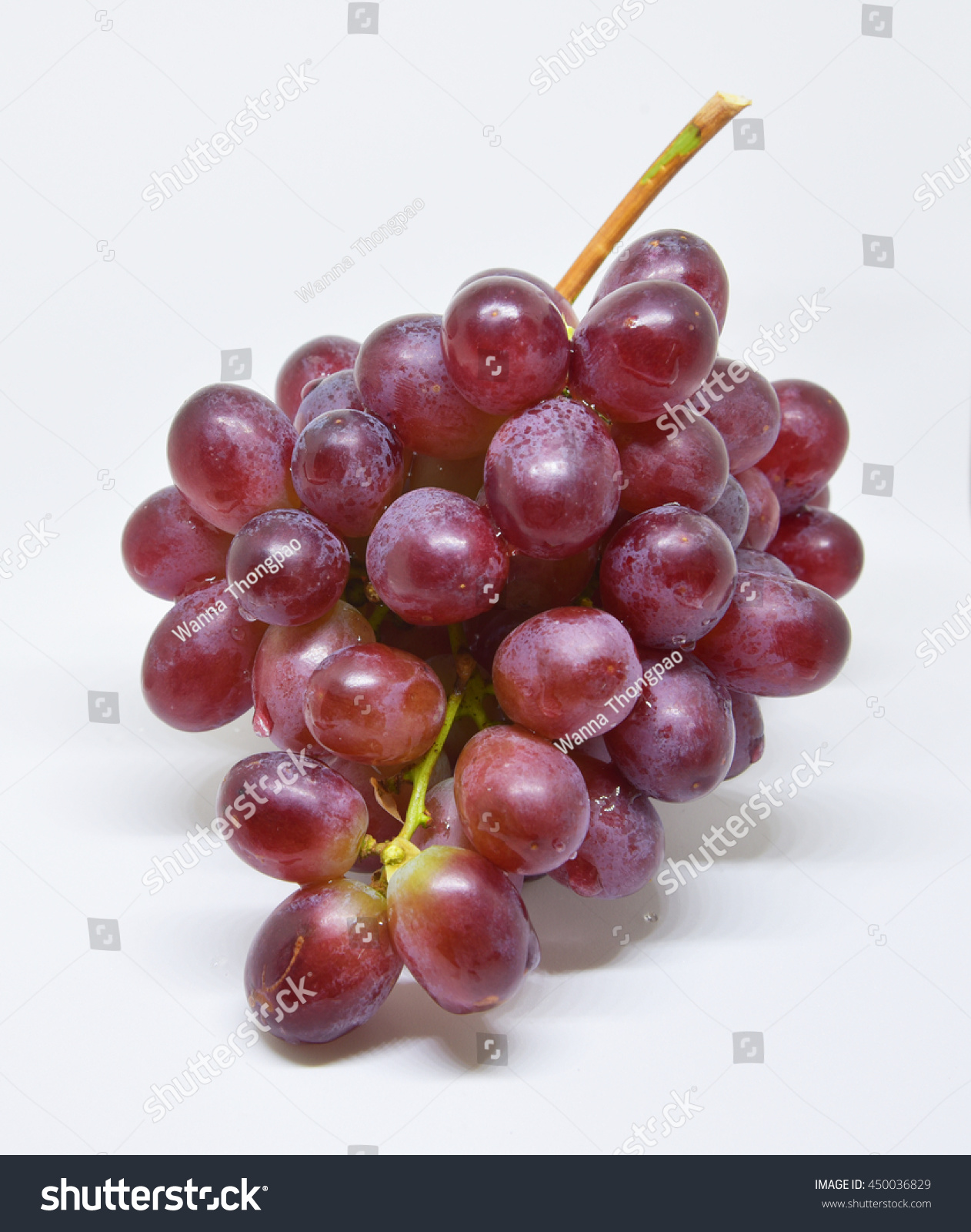 red grape isolated background white color