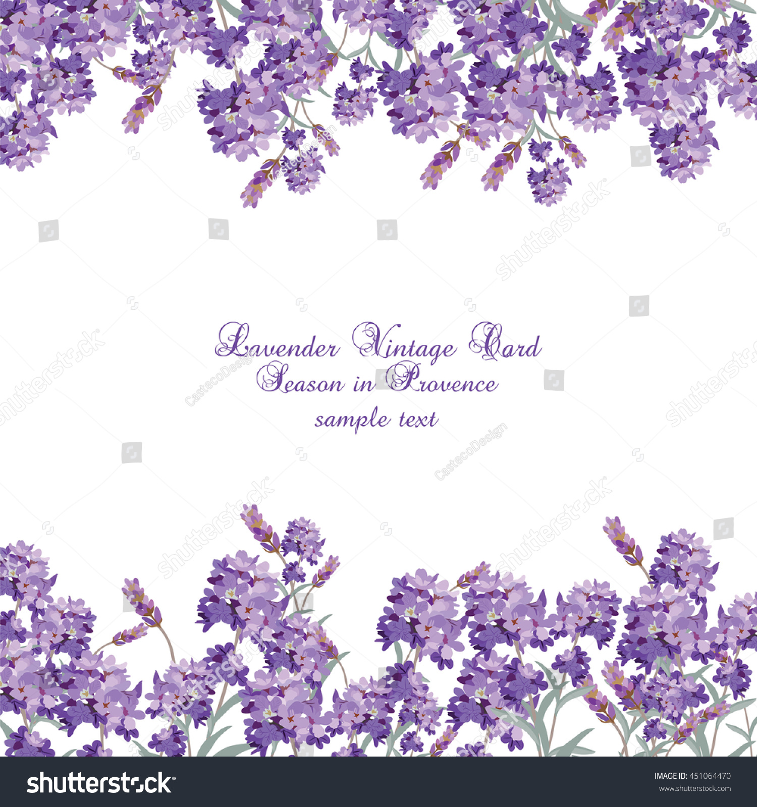 Lavender Card with flowers in watercolor paint style Vector . Gentle blossom floral bouquet. Vintage Label with lavender beautiful fragrance
