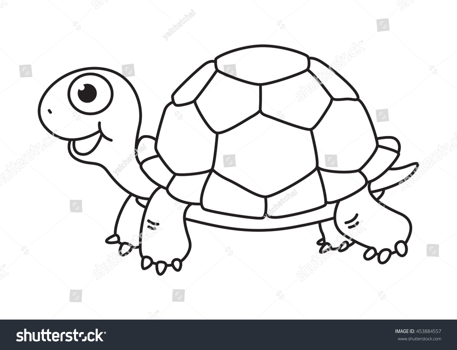 cartoon turtle  vector