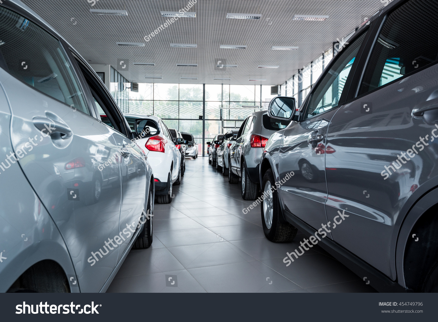 New cars at dealer showroom