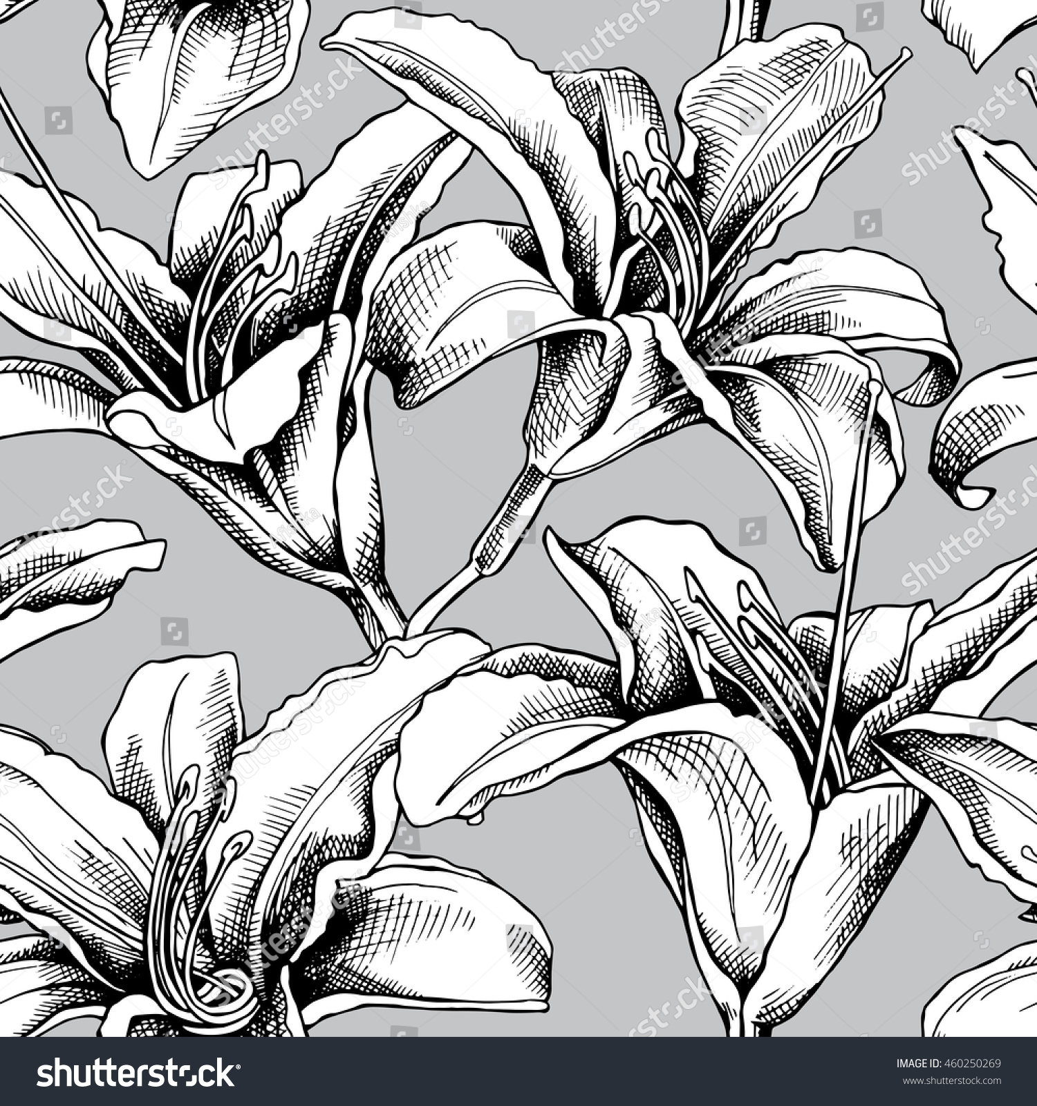 Seamless pattern with image of a lily flowers. Vector black and white illustration.