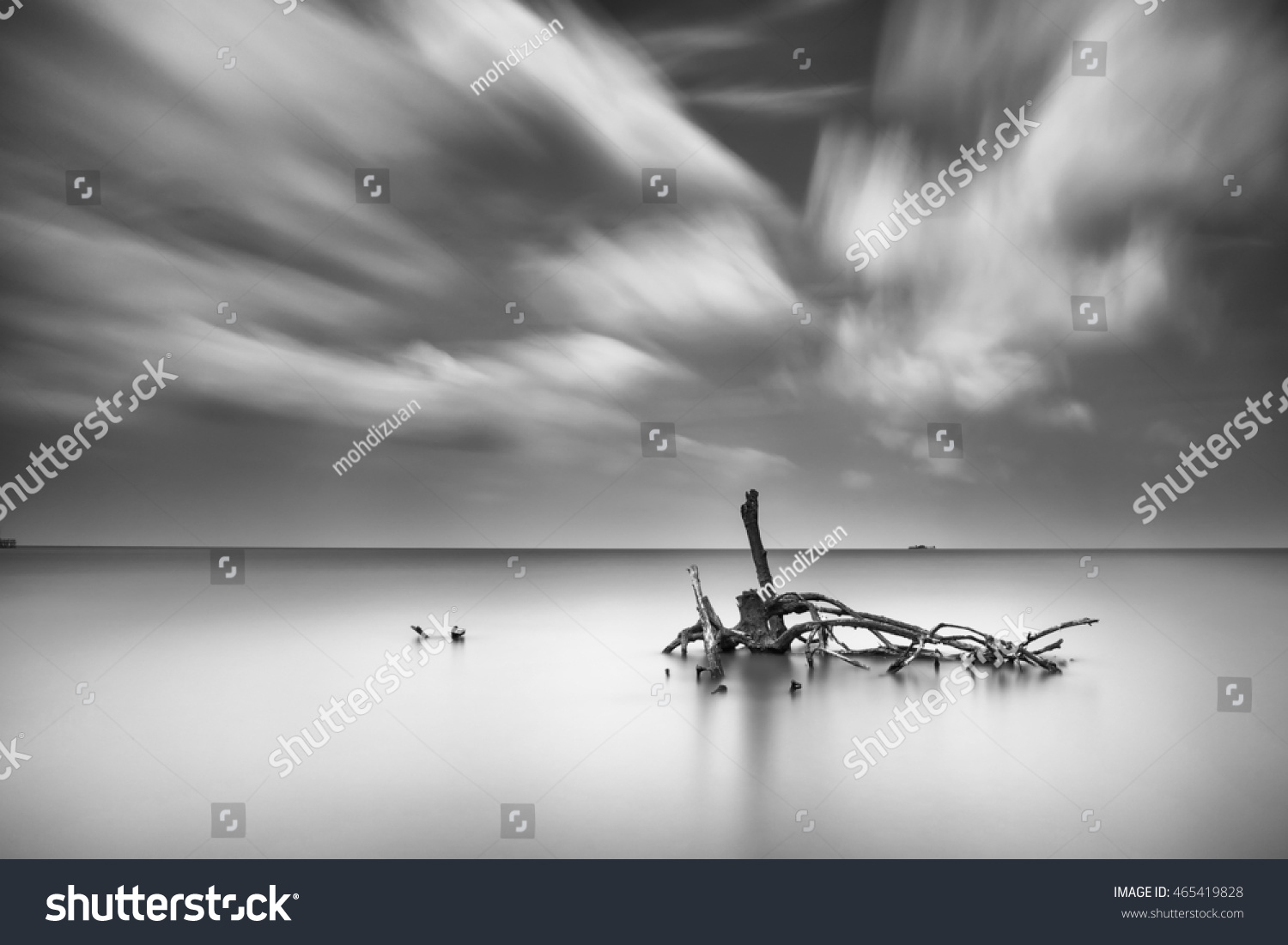 Long Exposure image of dead root at Pantai Sungai Lurus
