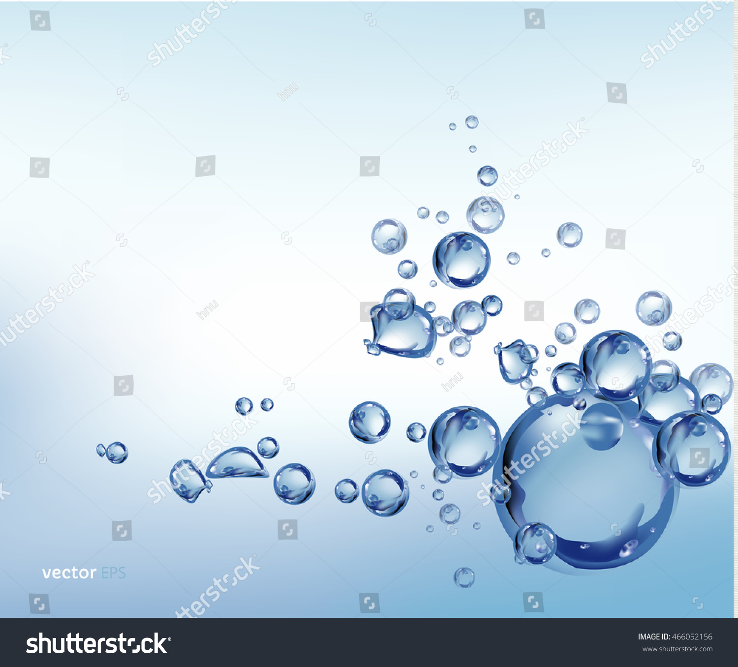 Water bubbles on white background. vector