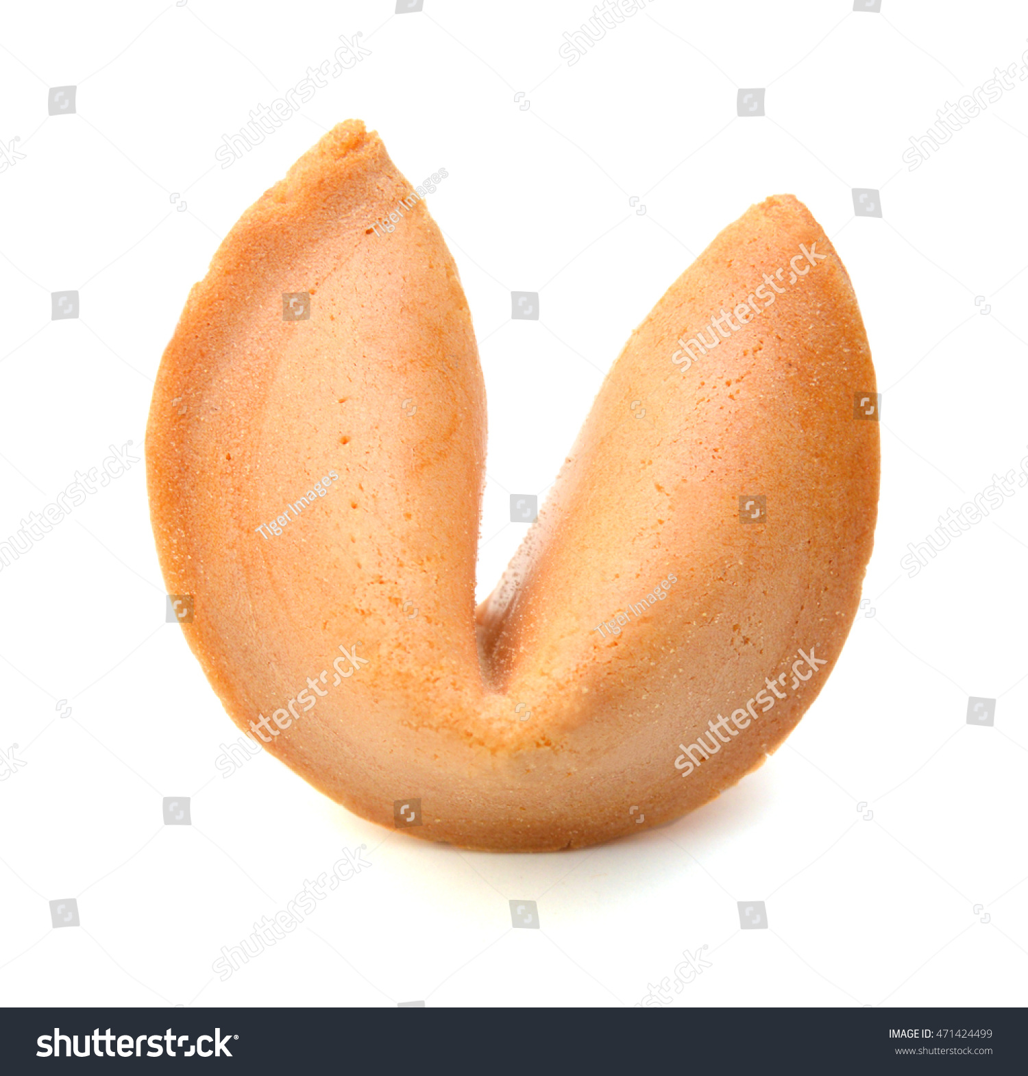 photo of an isolated fortune cookie on a white background