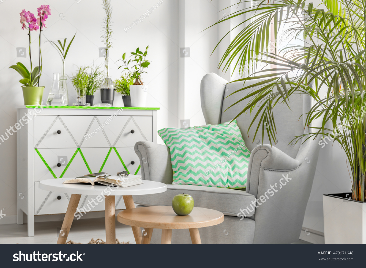 Light new style living room with white coomode armchair small table and decorative houseplants