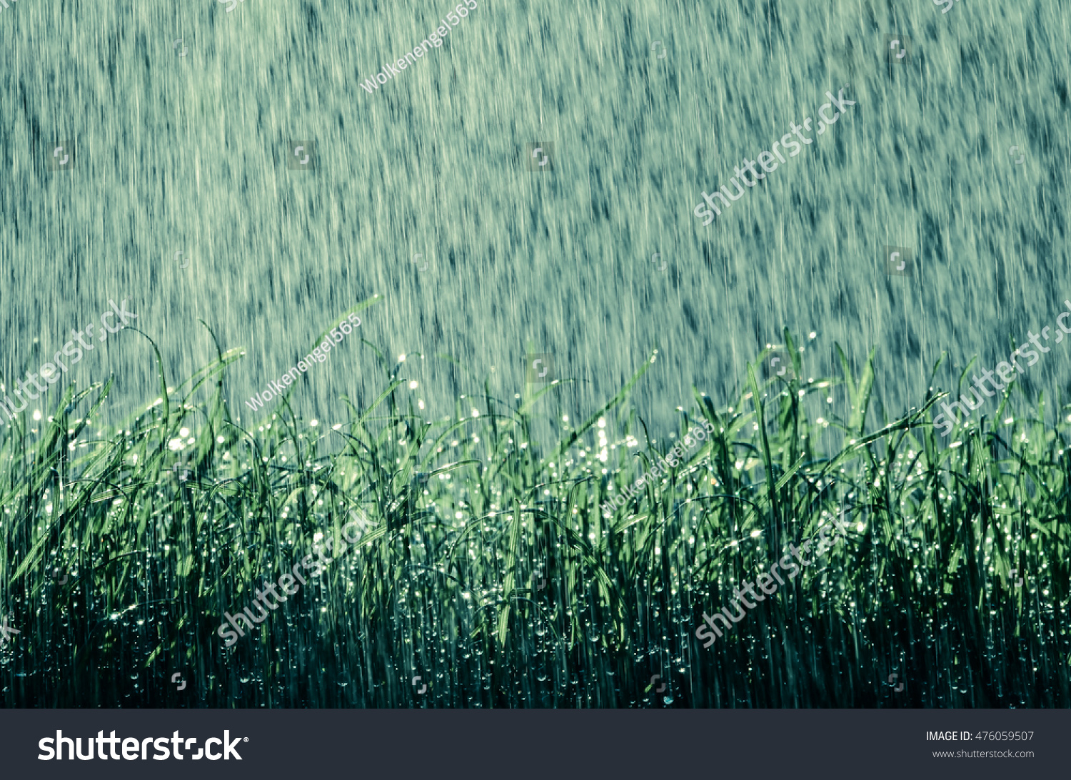 Wonderful refreshing rain at night on a meadow with color effects