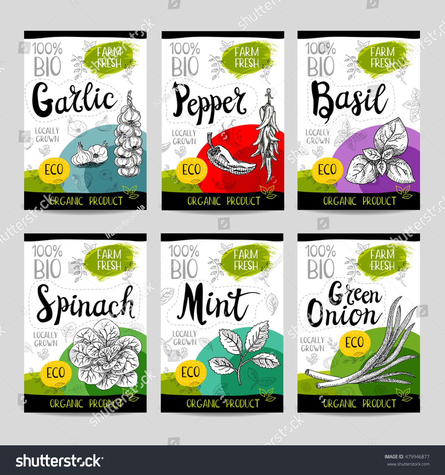 Set of colorful stickers in sketch style  food and spices  white background. Garlic  pepper  basil  spinach  mint  green onion. Vegetables  farm fresh. locally grown. Hand drawn vector illustration.