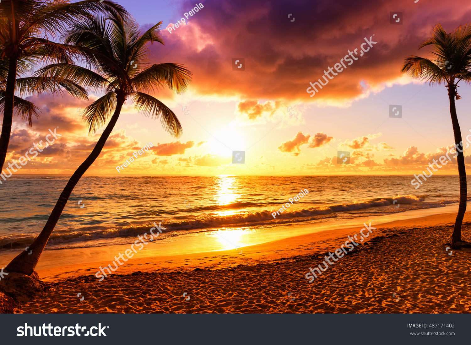 Coconut palm trees against colorful sunset 