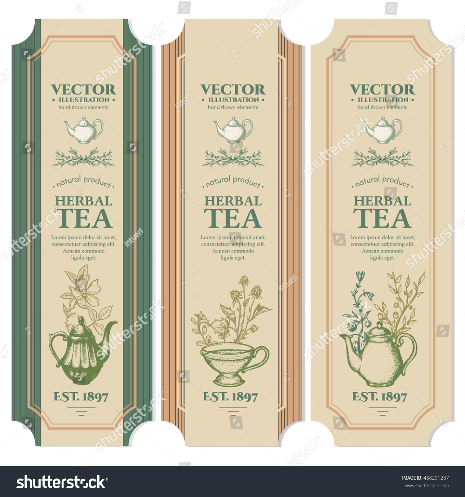 Labels Herbal tea design ink hand drawn vector