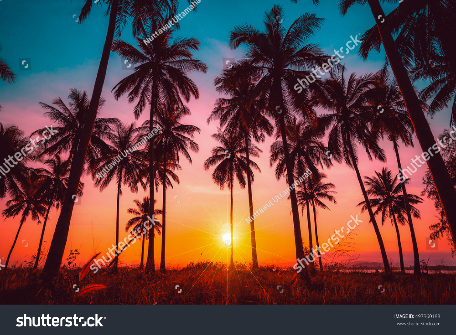 Silhouette coconut palm trees on beach at sunset. Vintage tone.