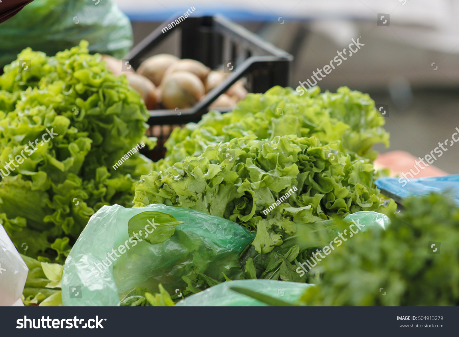 fresh salad at farmers market for sale
