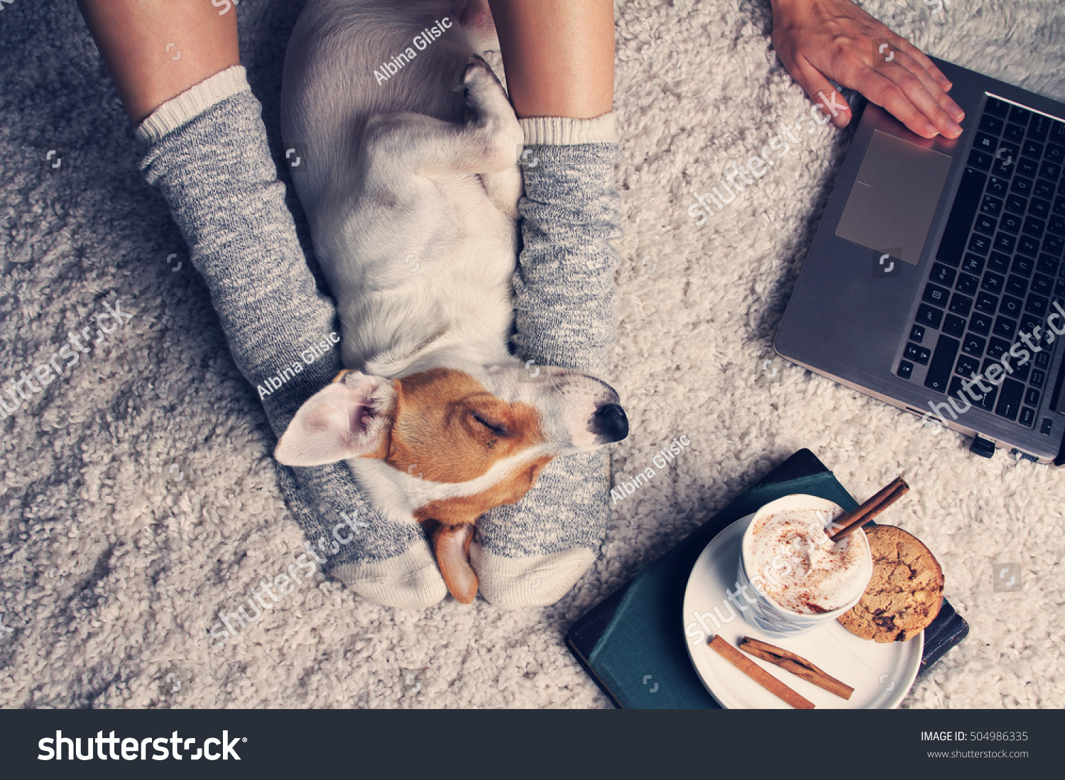 Woman in cozy home wear relaxing at home with sleeping dog Jack Russel terrier drinking cacao using laptop top view. Soft comfy lifestyle.