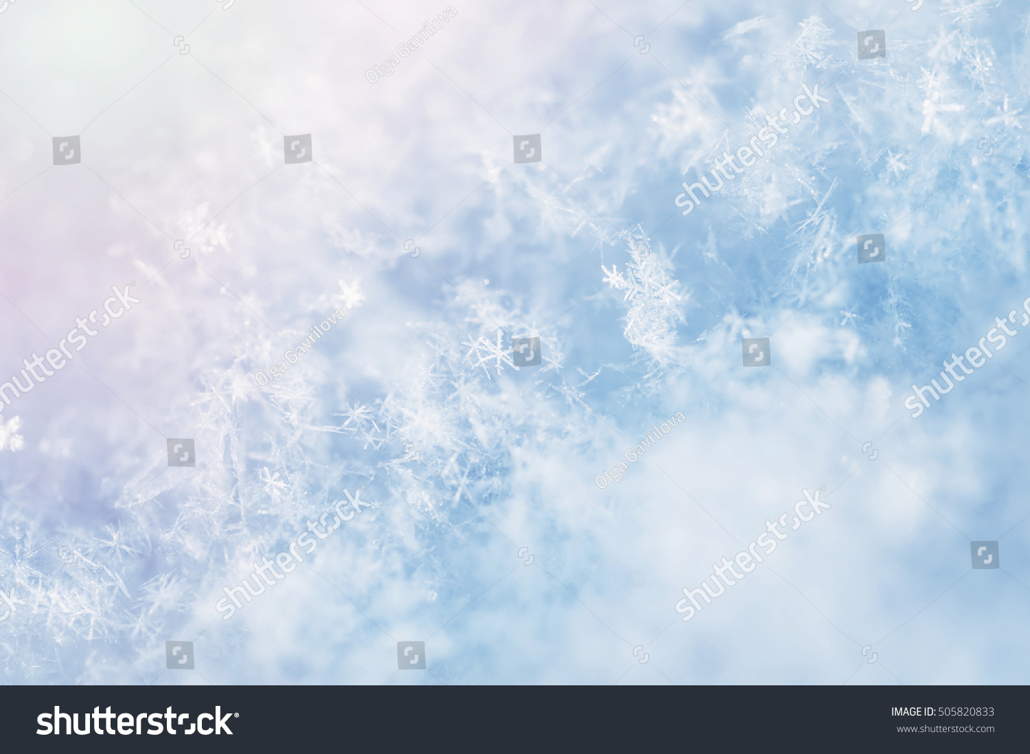 Macro image of snowflakes. Winter background. 