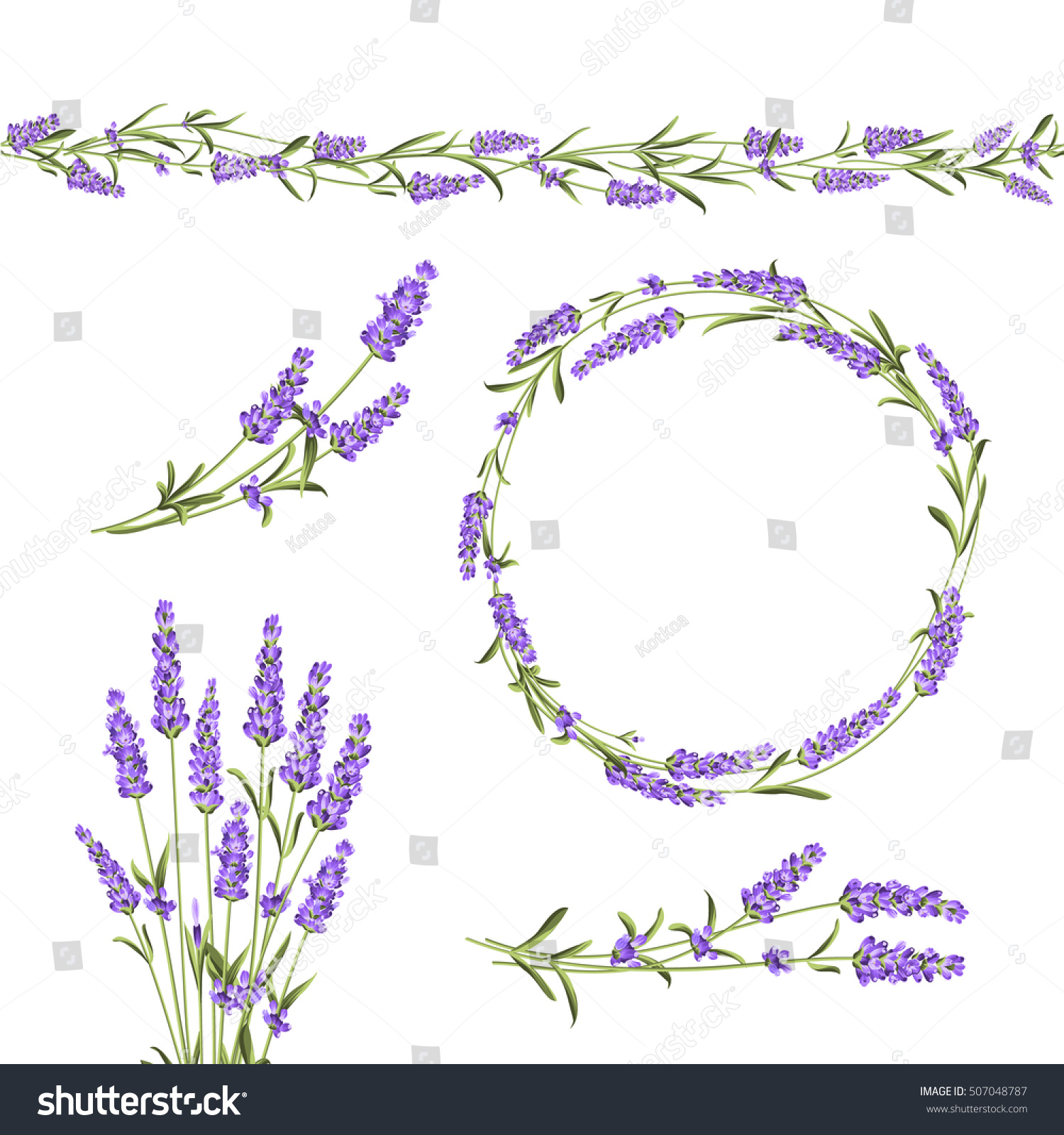 Set of lavender flowers elements. Collection of lavender flowers on a white background. Vector illustration bundle.