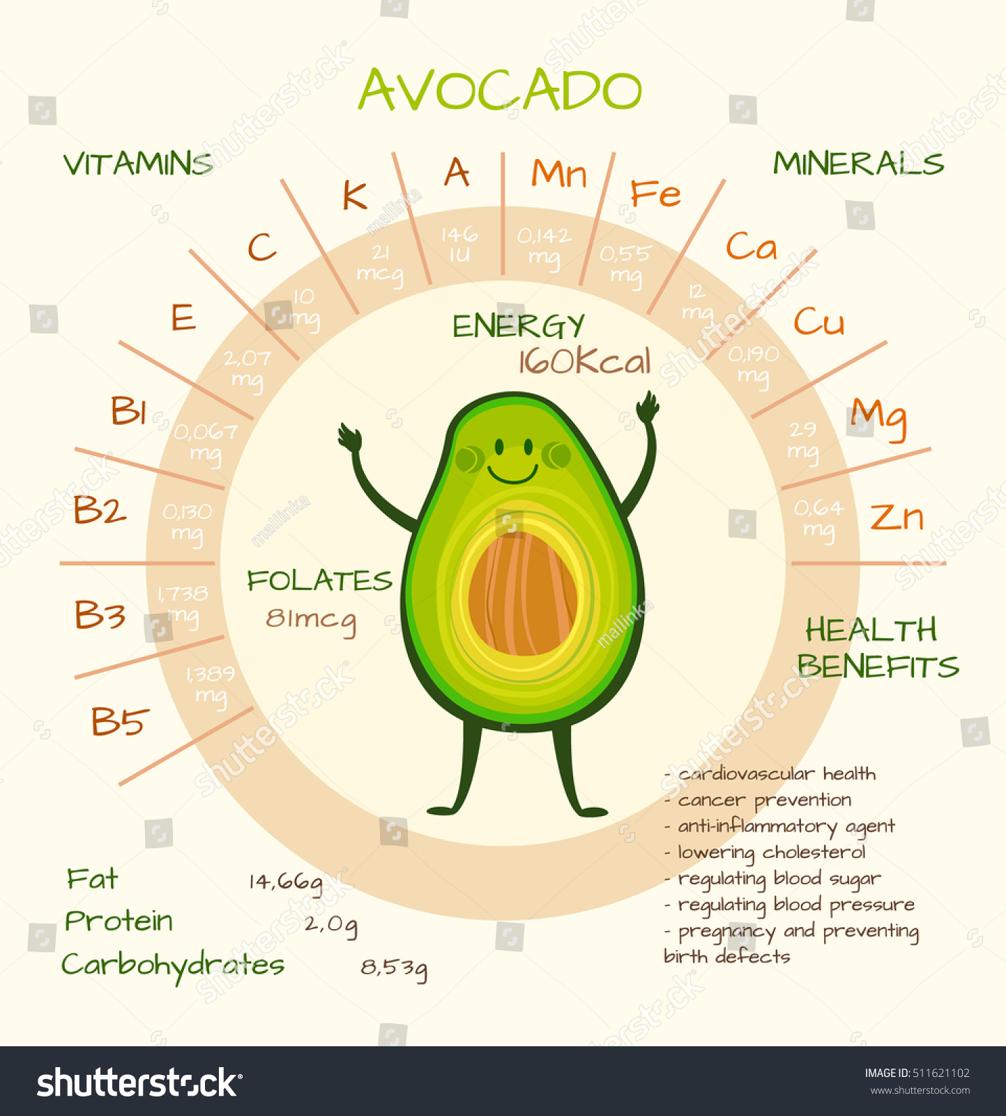 Infographics about nutrients in avocado. Vector illustration of avocado  vitamins  vegetables  healthy food  nutrients  diet. Vitamins and minerals. Health benefits of avocado. Funny character.