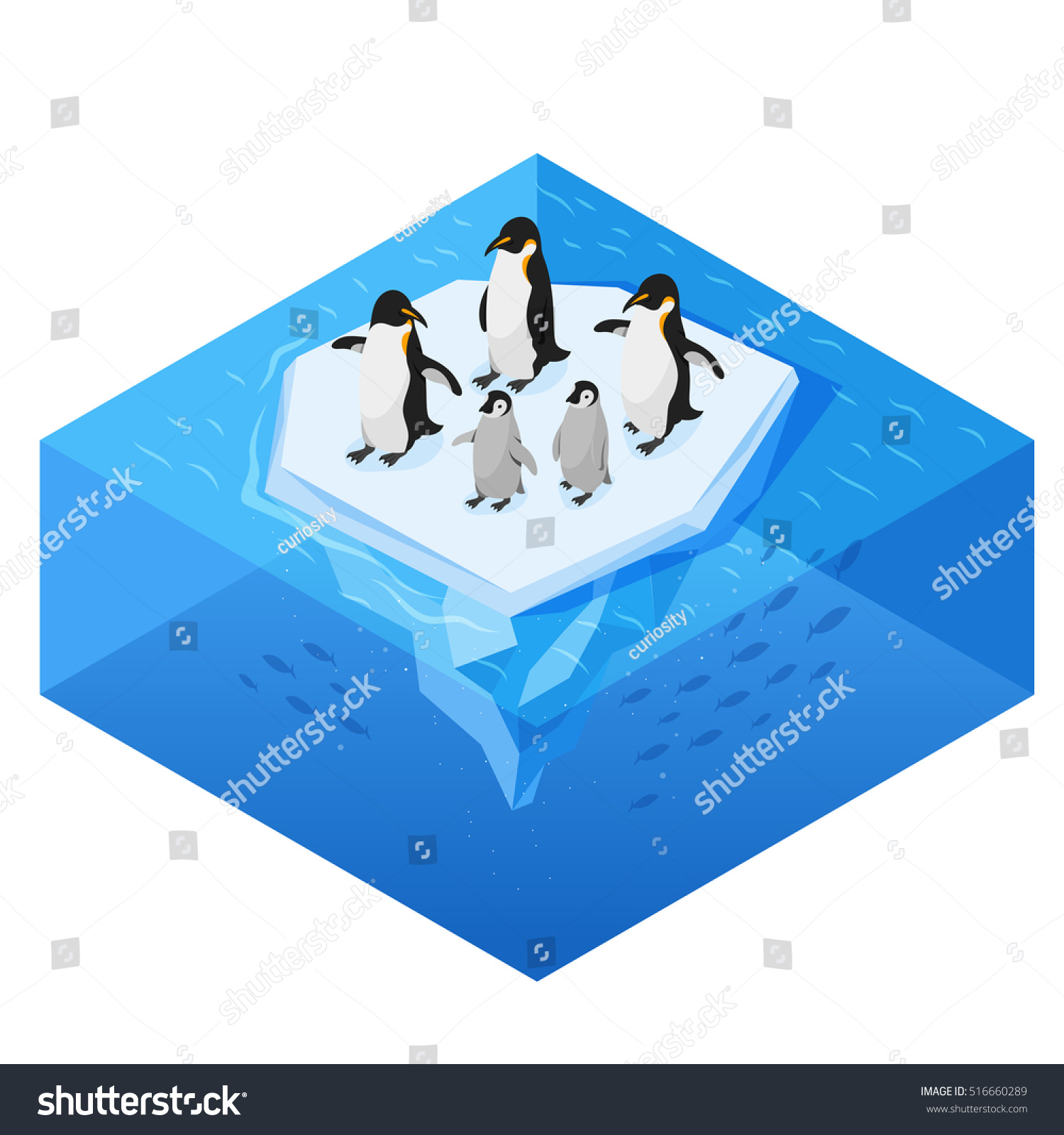 Isometric 3d vector realistic style illustration of penguins on the glacier in the open sea. Isolated on white background. 
