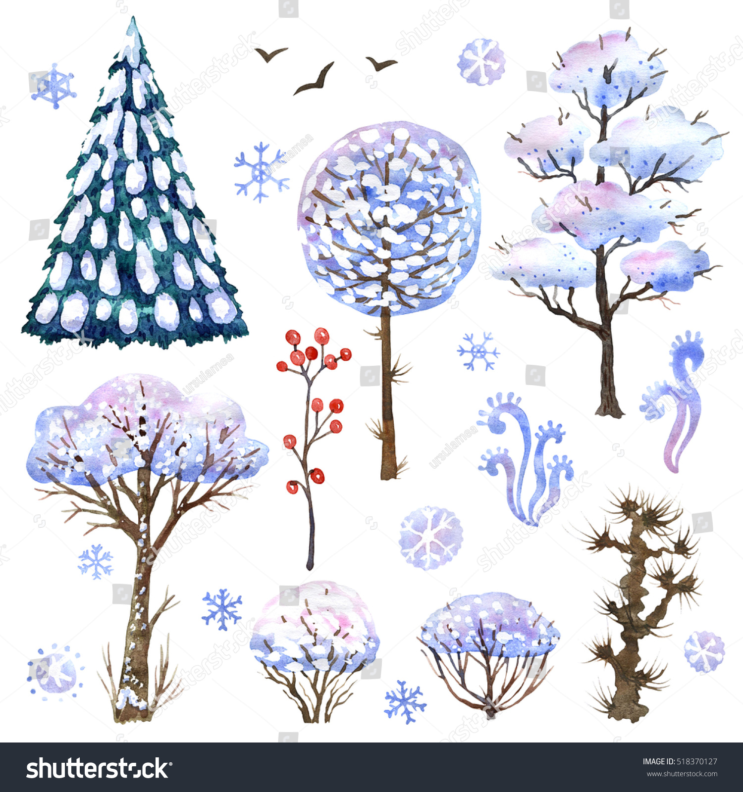 Raster watercolor set with winter trees and bushes. Design element for winter and natural themes illustration component for botanical books printed production.