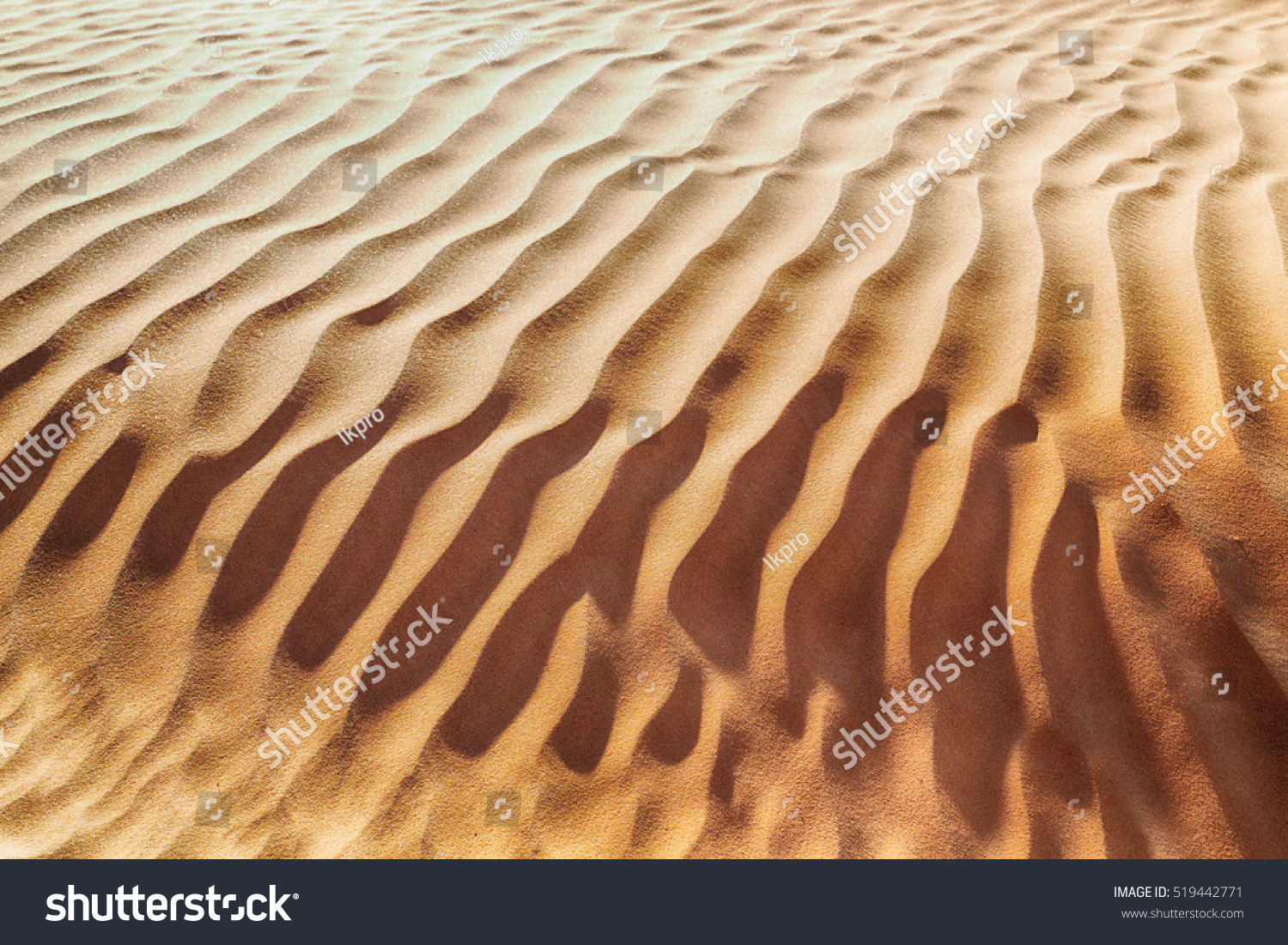 abstract texture line wave in oman the old desert  and the empty quarter 