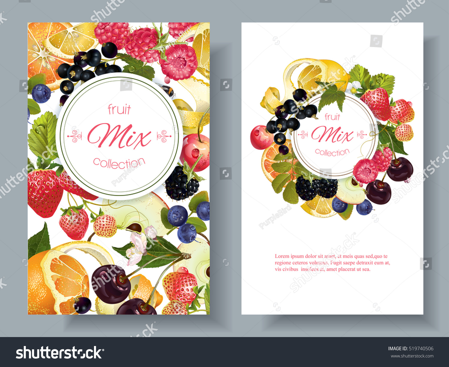 Vector fruit and berry banners. Design for juice  tea  ice cream  jam  natural cosmetics  sweets and pastries filled with fruit  dessert menu  health care products. With place for text