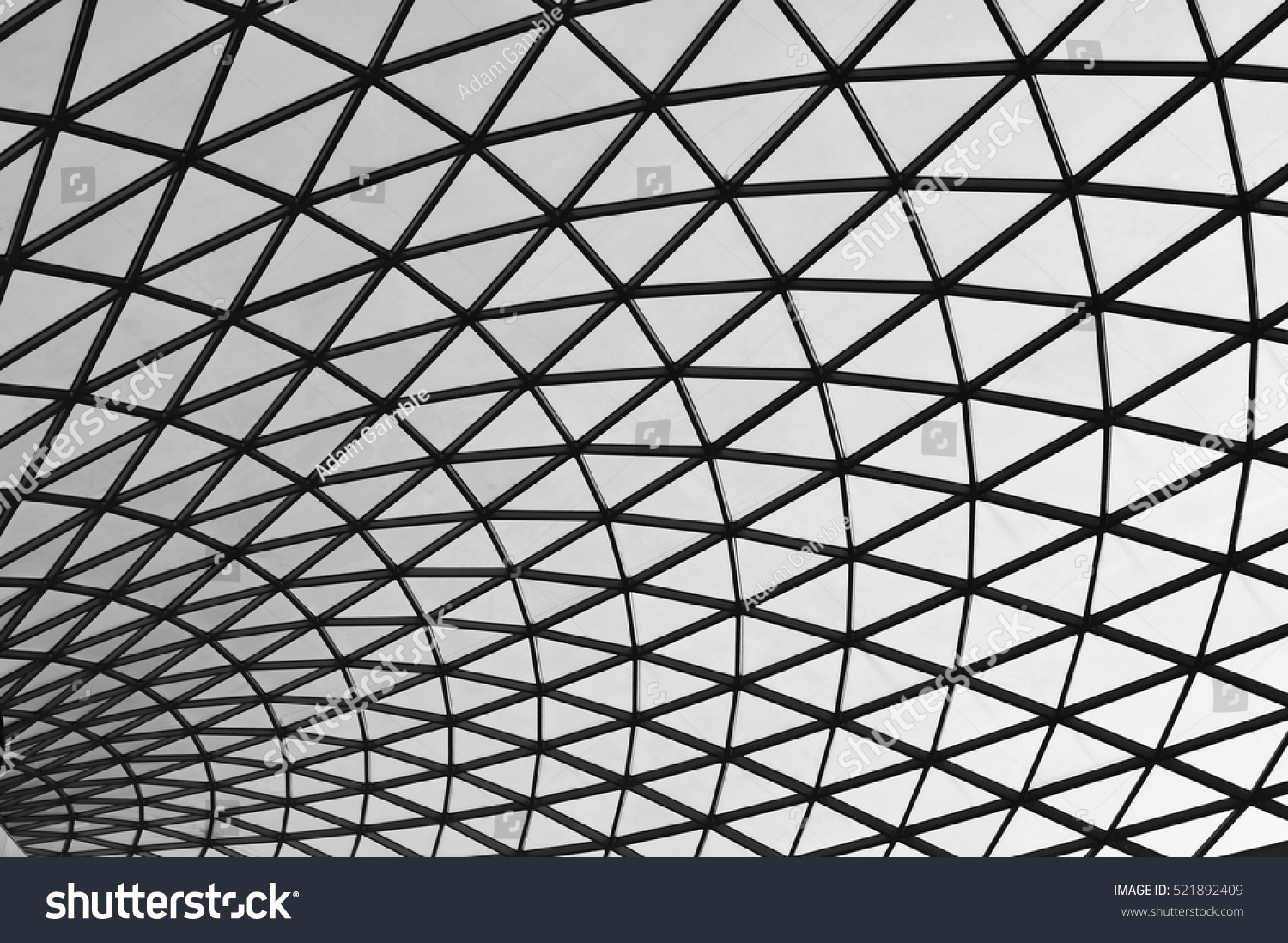 Black and white abstract roof