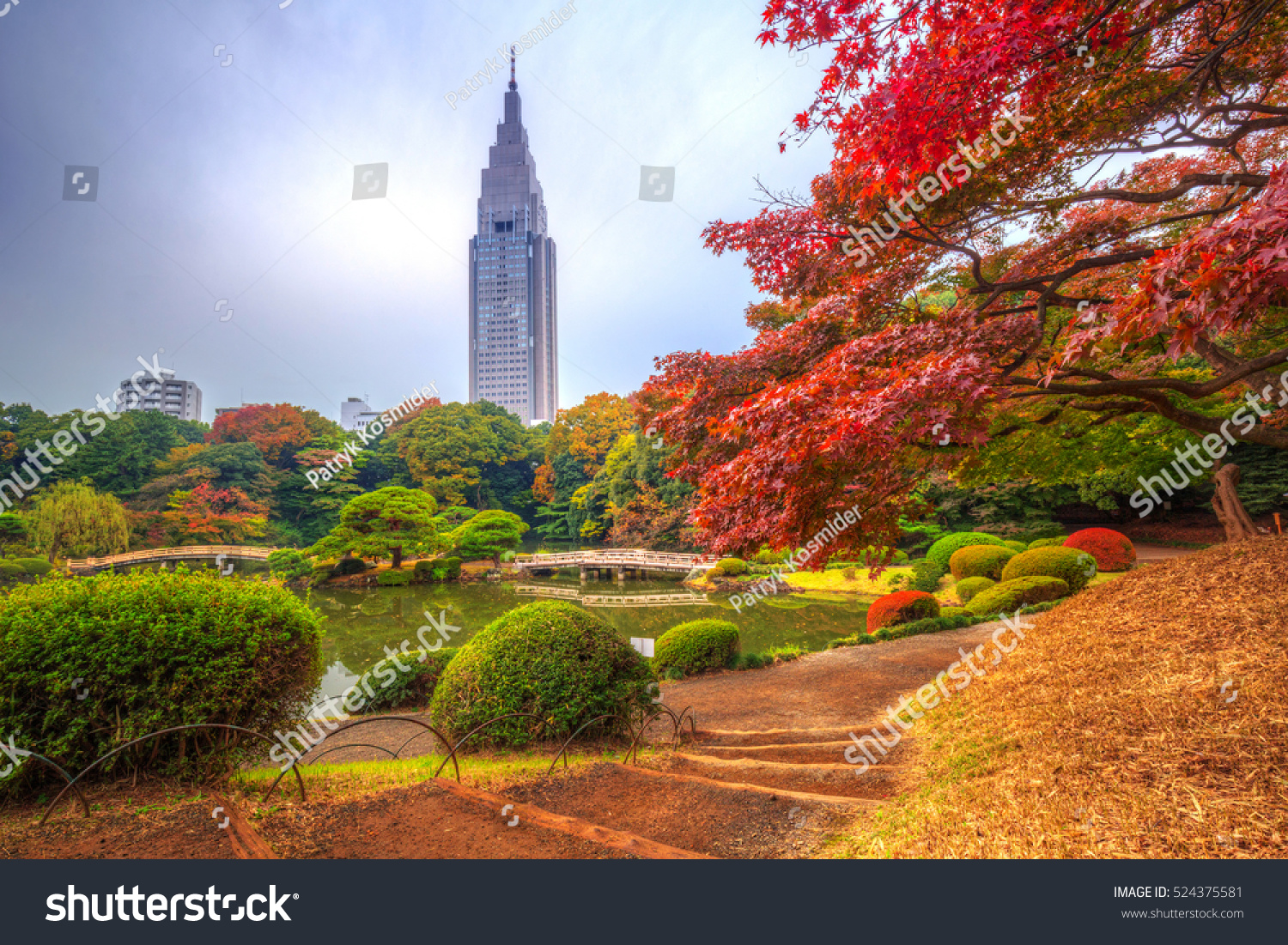 Autumn in the Shinjuku Park  Tokyo  Japan