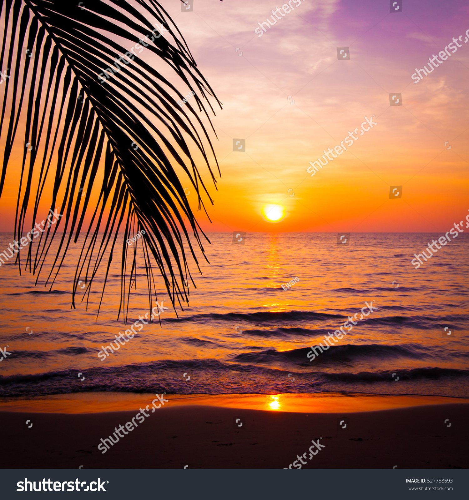sunset landscape. beach sunset.  sunset on the beach.