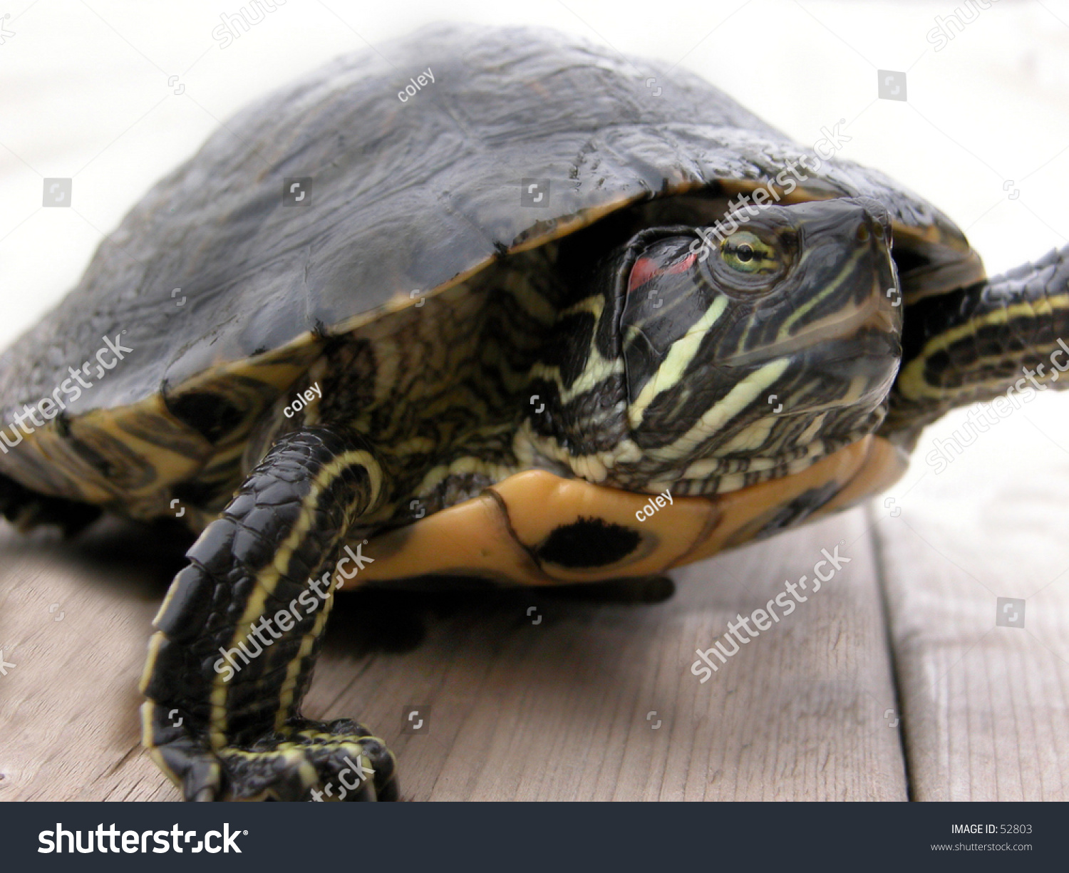 slider，slider是什么键