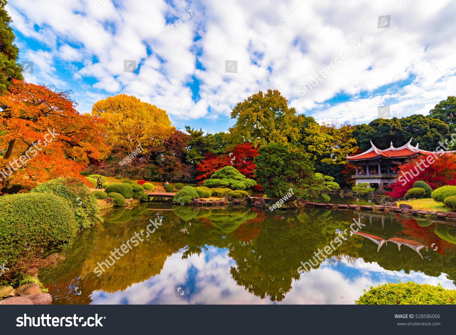 Autumn leaves at Shinjuku Gyoen Park with blue sky  Shinjuku  Tokyo.