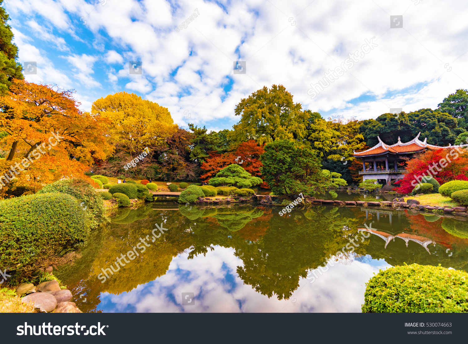 Autumn leaves at Shinjuku Gyoen Park with blue sky  Shinjuku  Tokyo.
