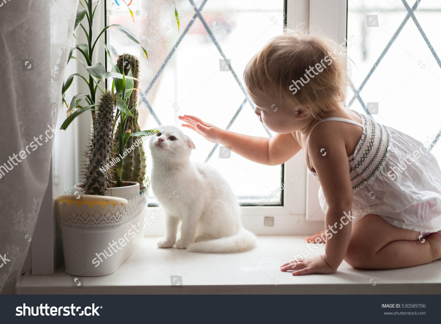 Toddler blonde girl playing with white cat on the window real interior lifestyle soft focus the concept of childhood and animals