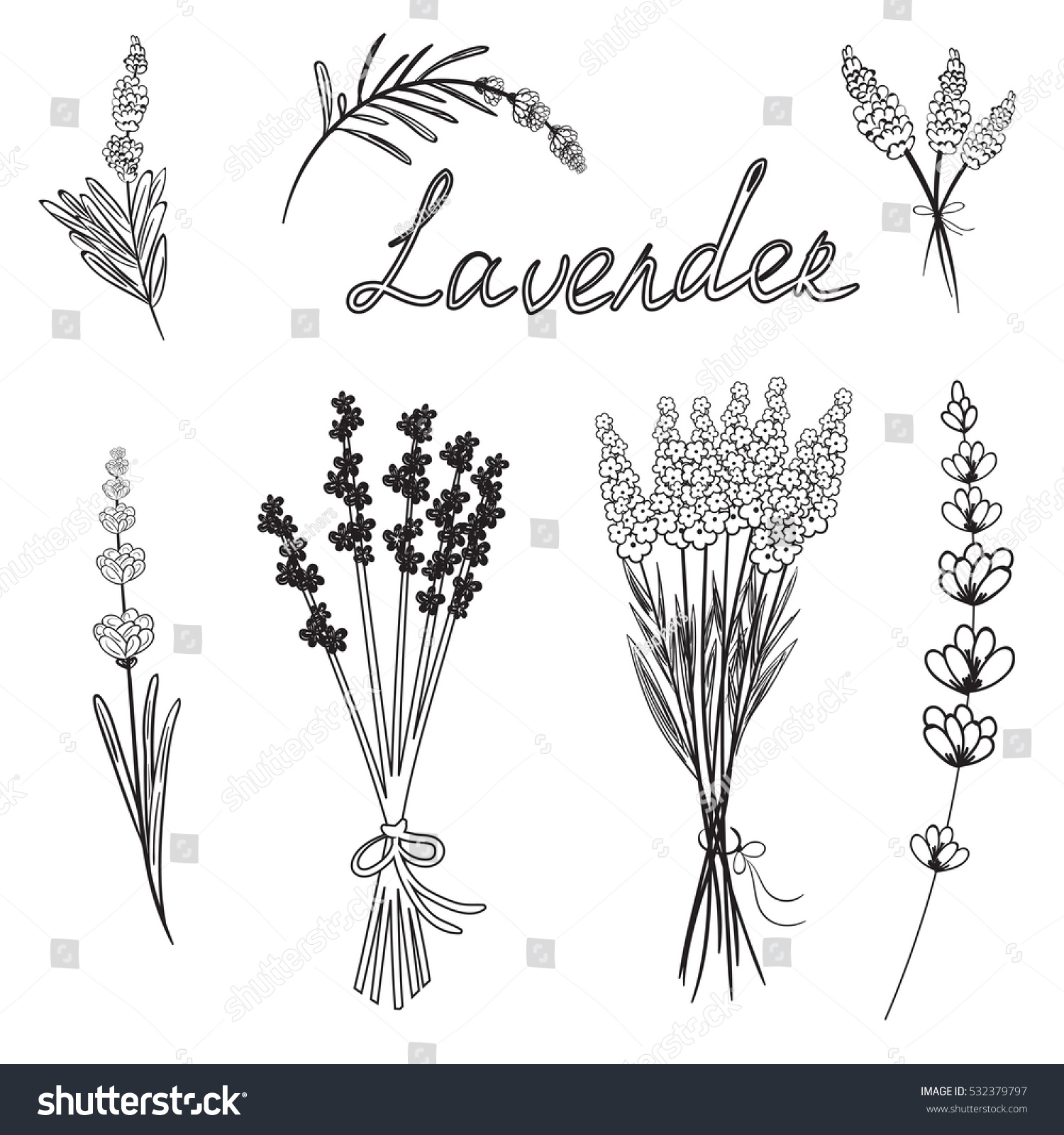 Hand drawn set of outline doodle vector illustrations of lavender