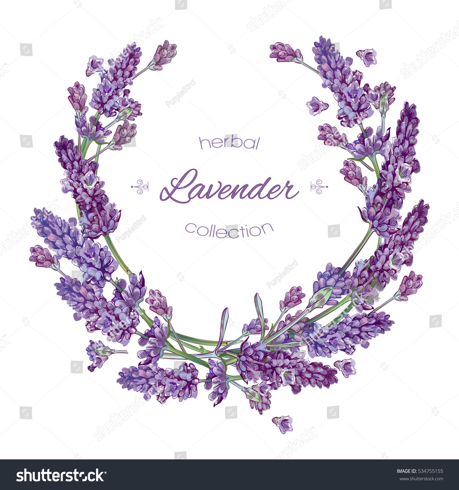 Vector lavender flower round  frame on white background. Design for natural cosmetic  health care products  perfume. Can be used as greeting card or wedding invitation.