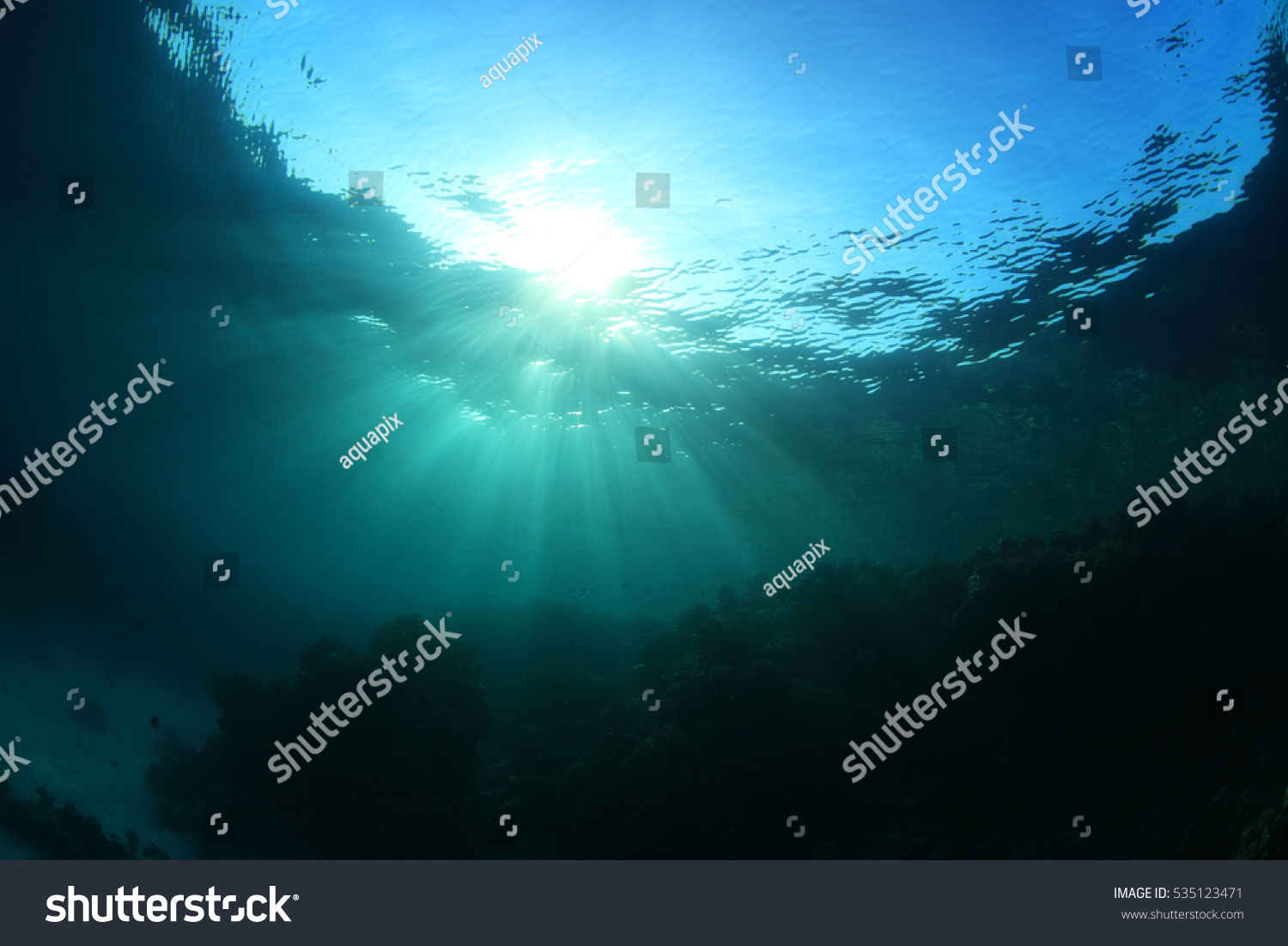 Water surface and coral reef with sunlight underwater in the ocean