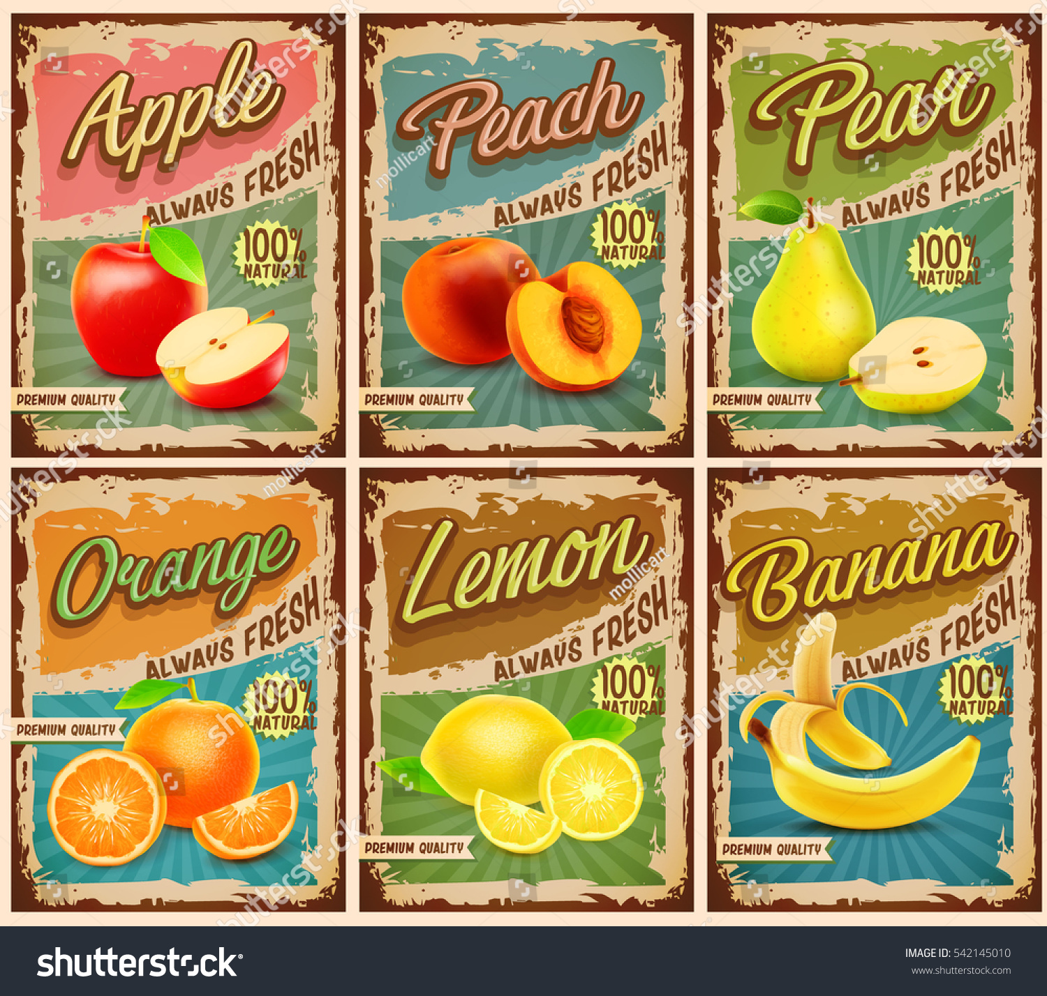 fruit vintage banner