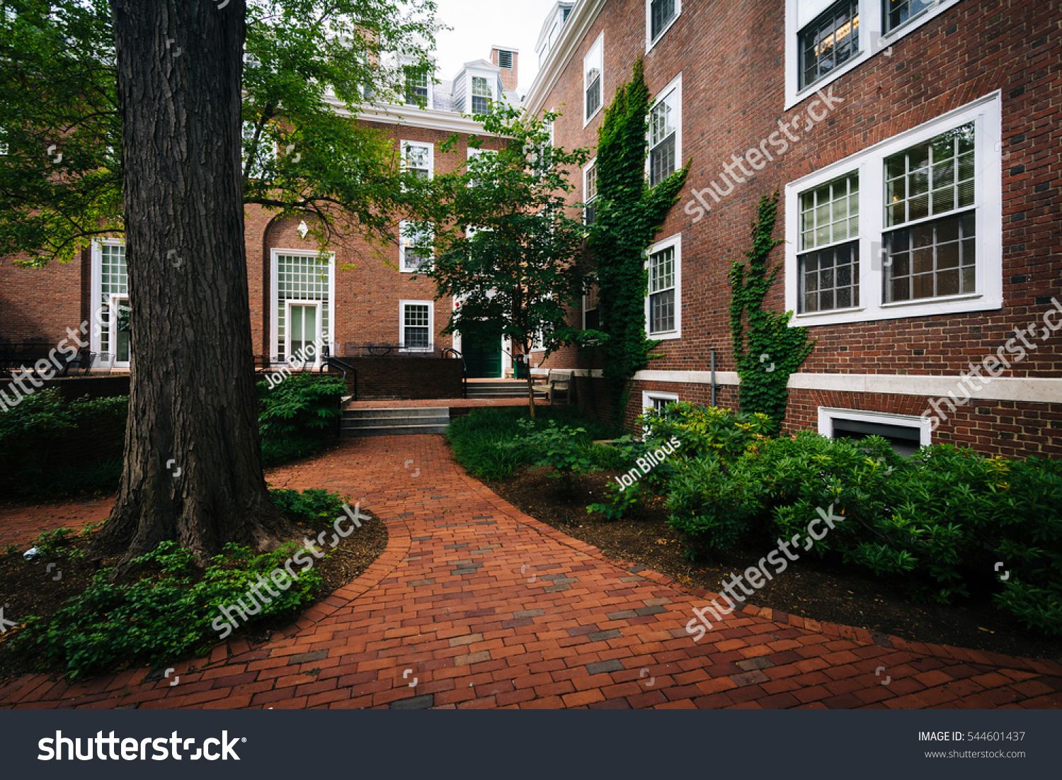 Brick walkway and buildings at Harvard Business School  in Boston  Massachusetts.