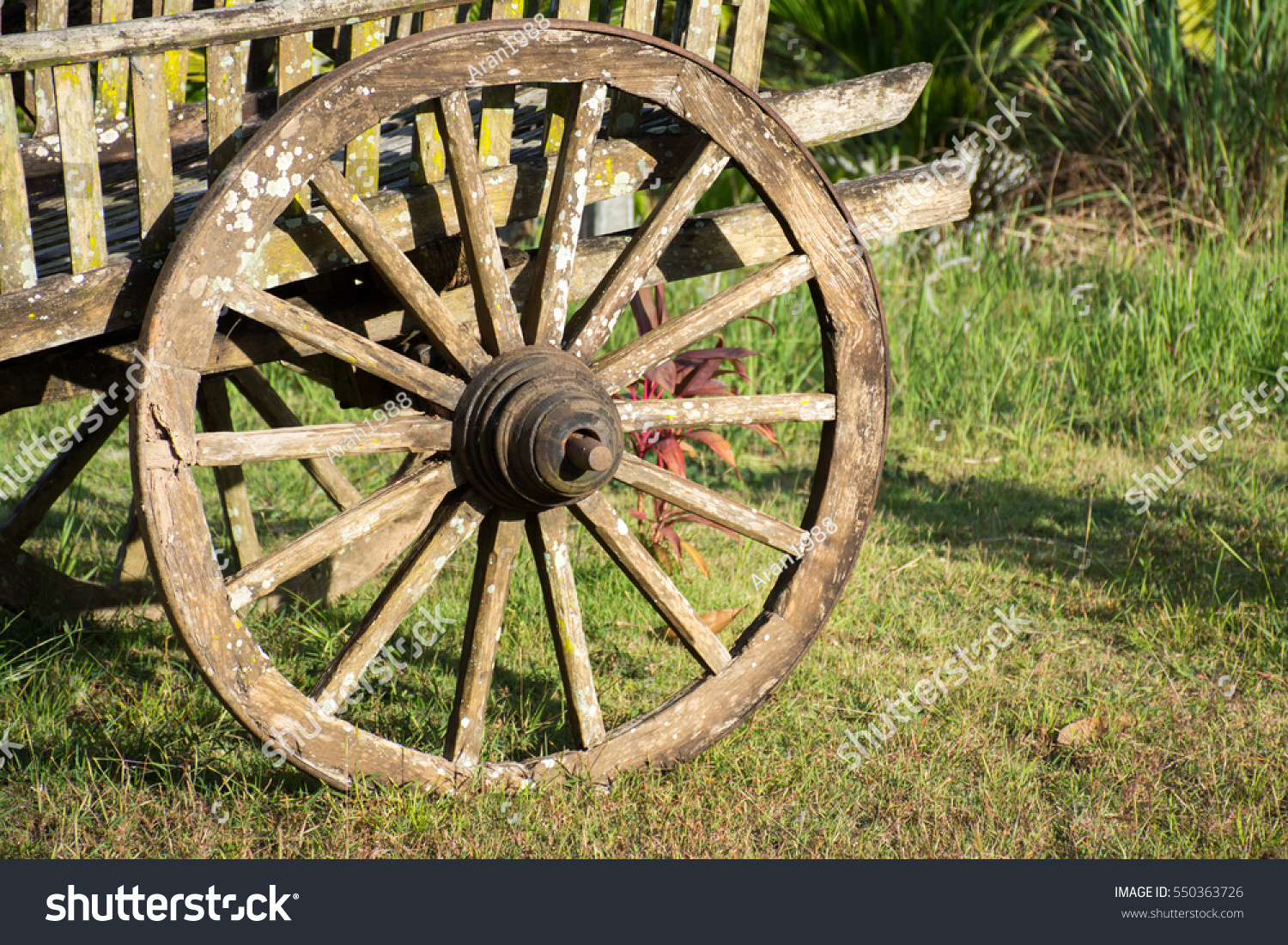 wooden cartwheel on green glass