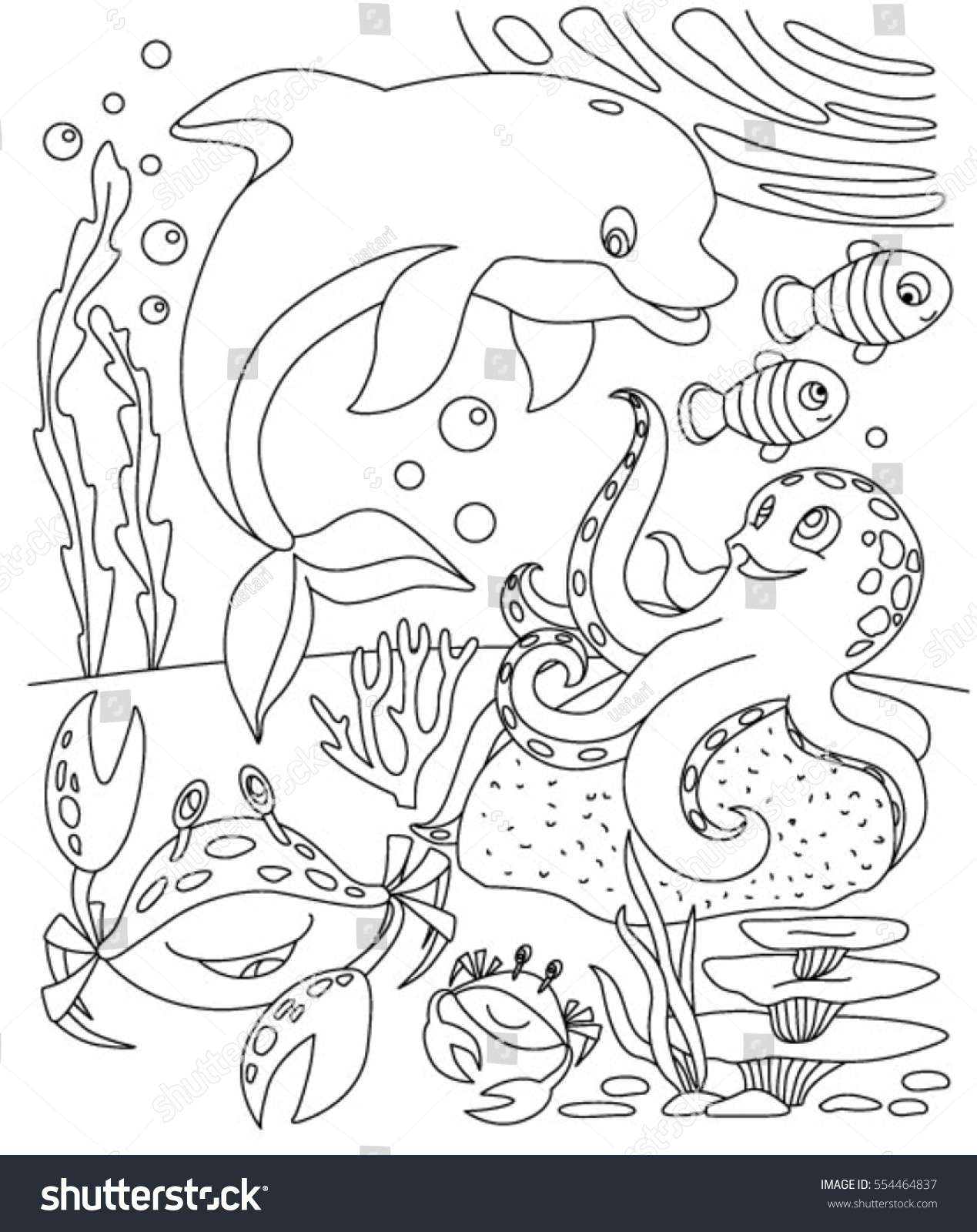 Coloring book with marine animals. Octopus and Dolphin_站酷海洛_正版图片_视频_字体