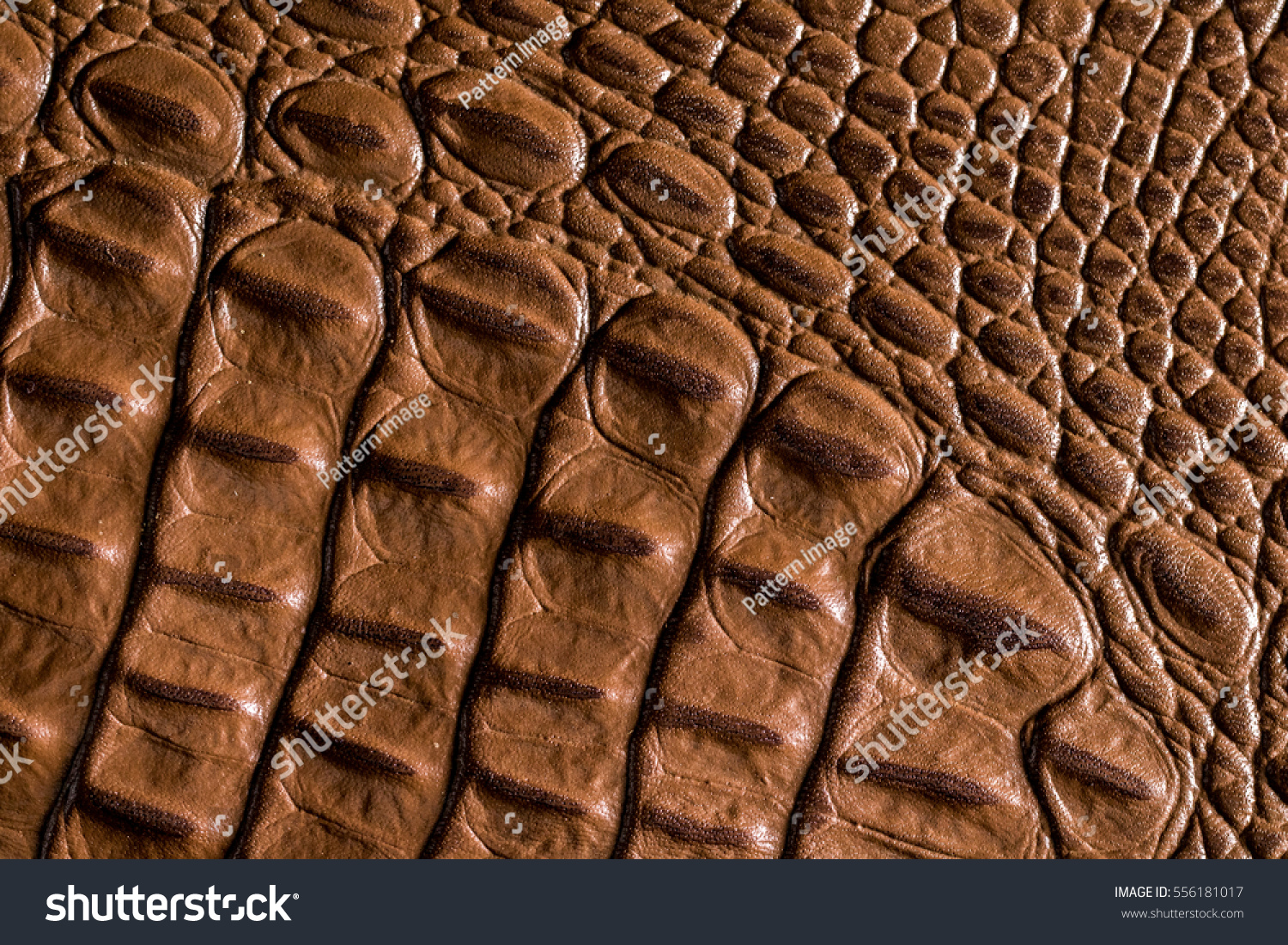 Crocodile leather textured background