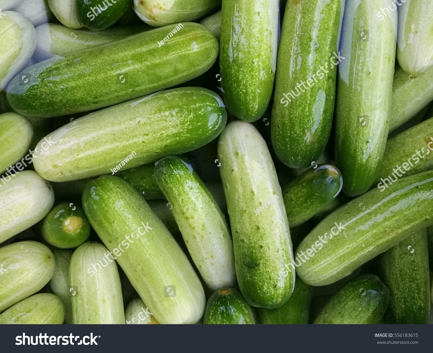 cucumber，cucumber可数还是不可数