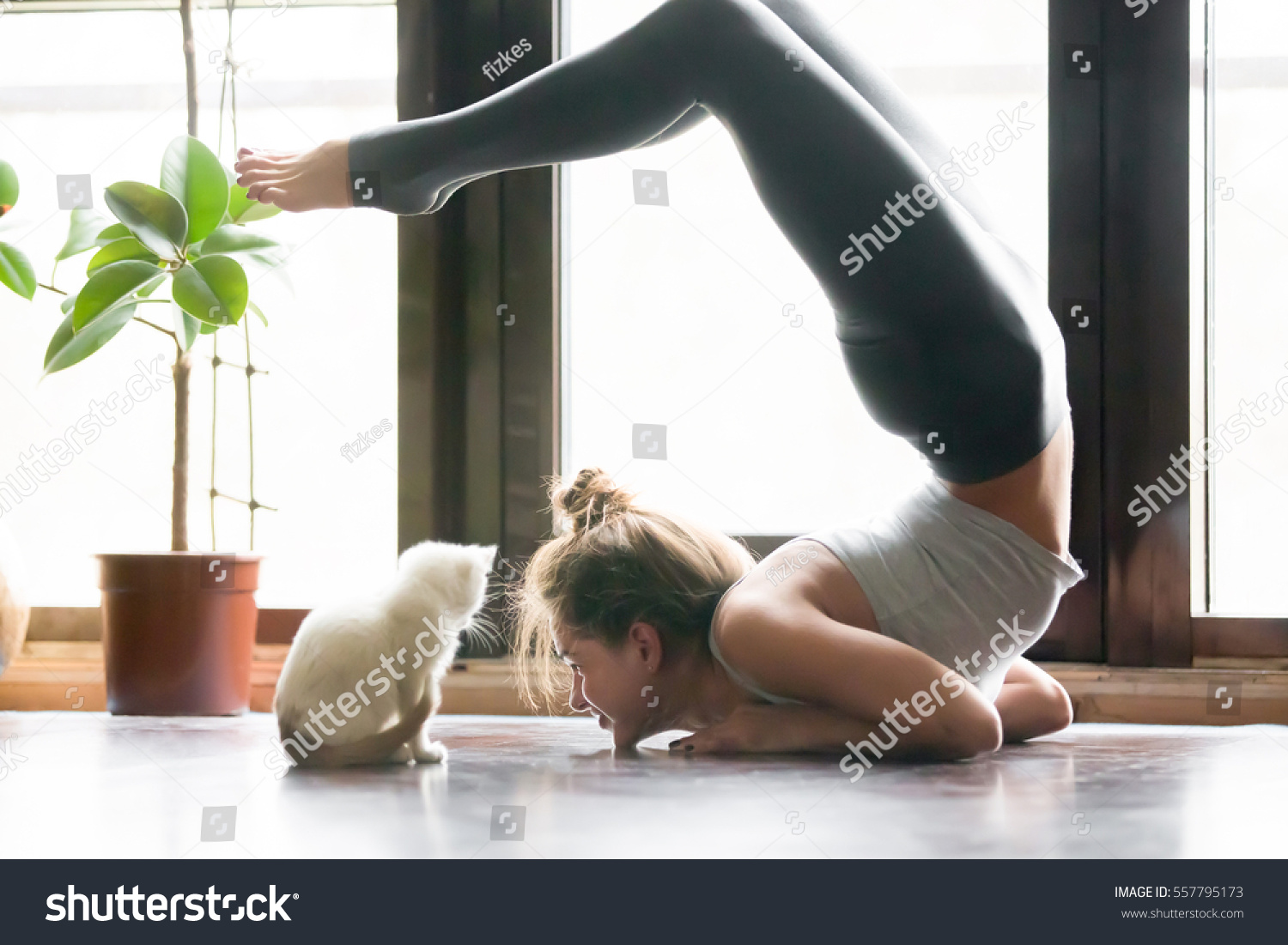 Young attractive smiling woman practicing yoga stretching in Scorpion exercise variation of vrischikasana pose working out wearing sportswear grey pants bra indoor full length home interior