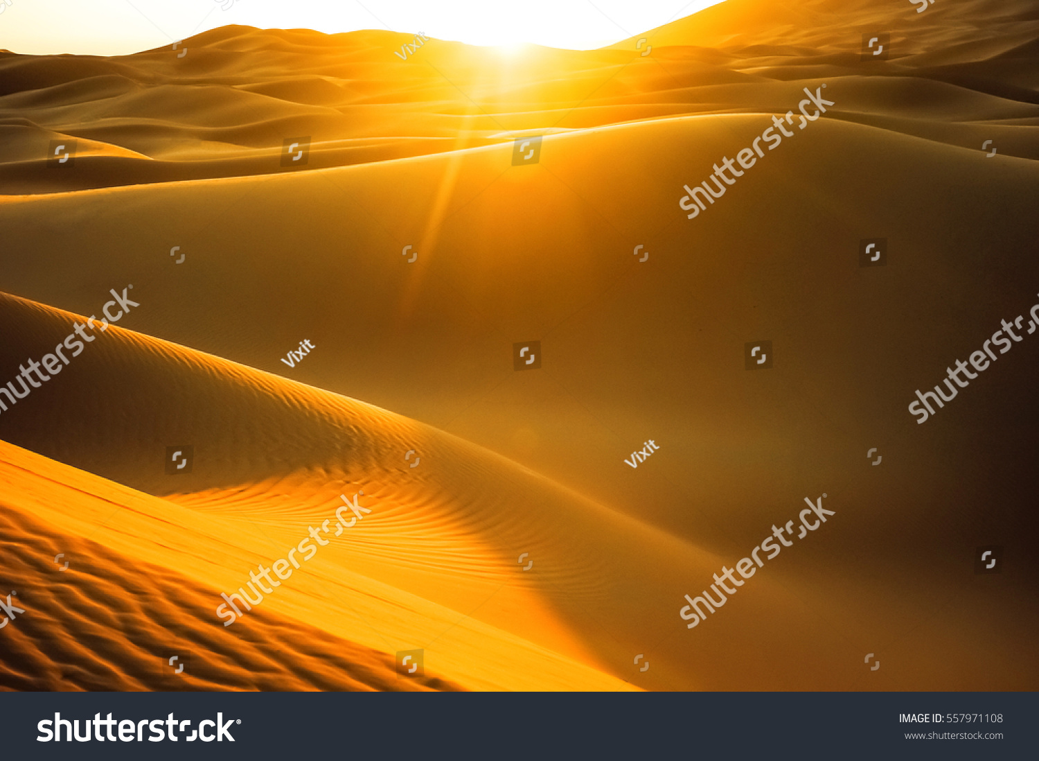 Beautiful sand dunes in the Sahara desert