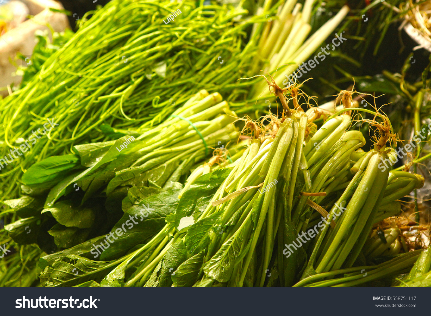 green onion salad vegetables close up photo on asian market