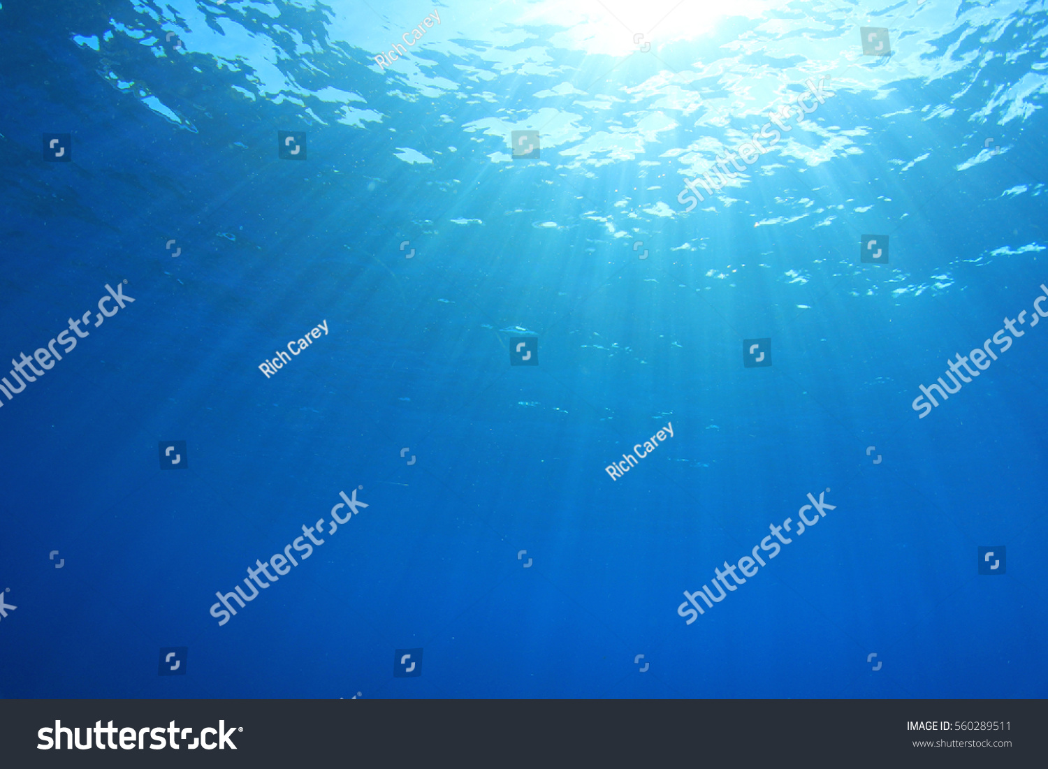 Underwater ocean background photo