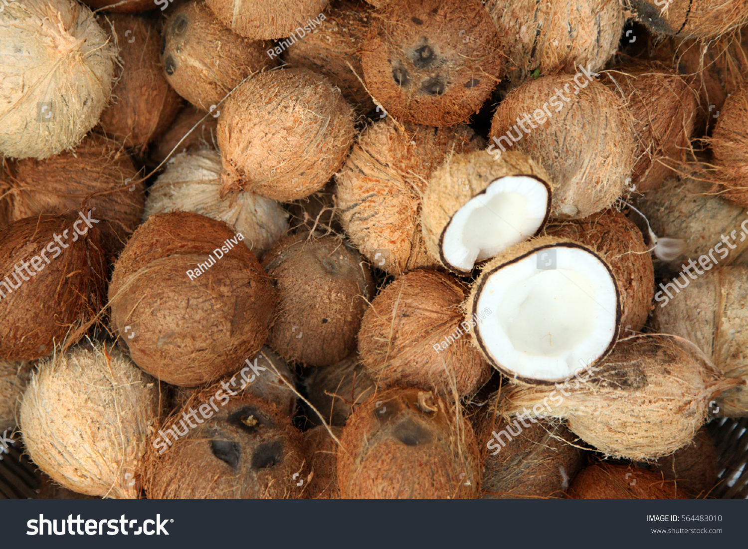 Pile of coconuts  in the food market of  India
