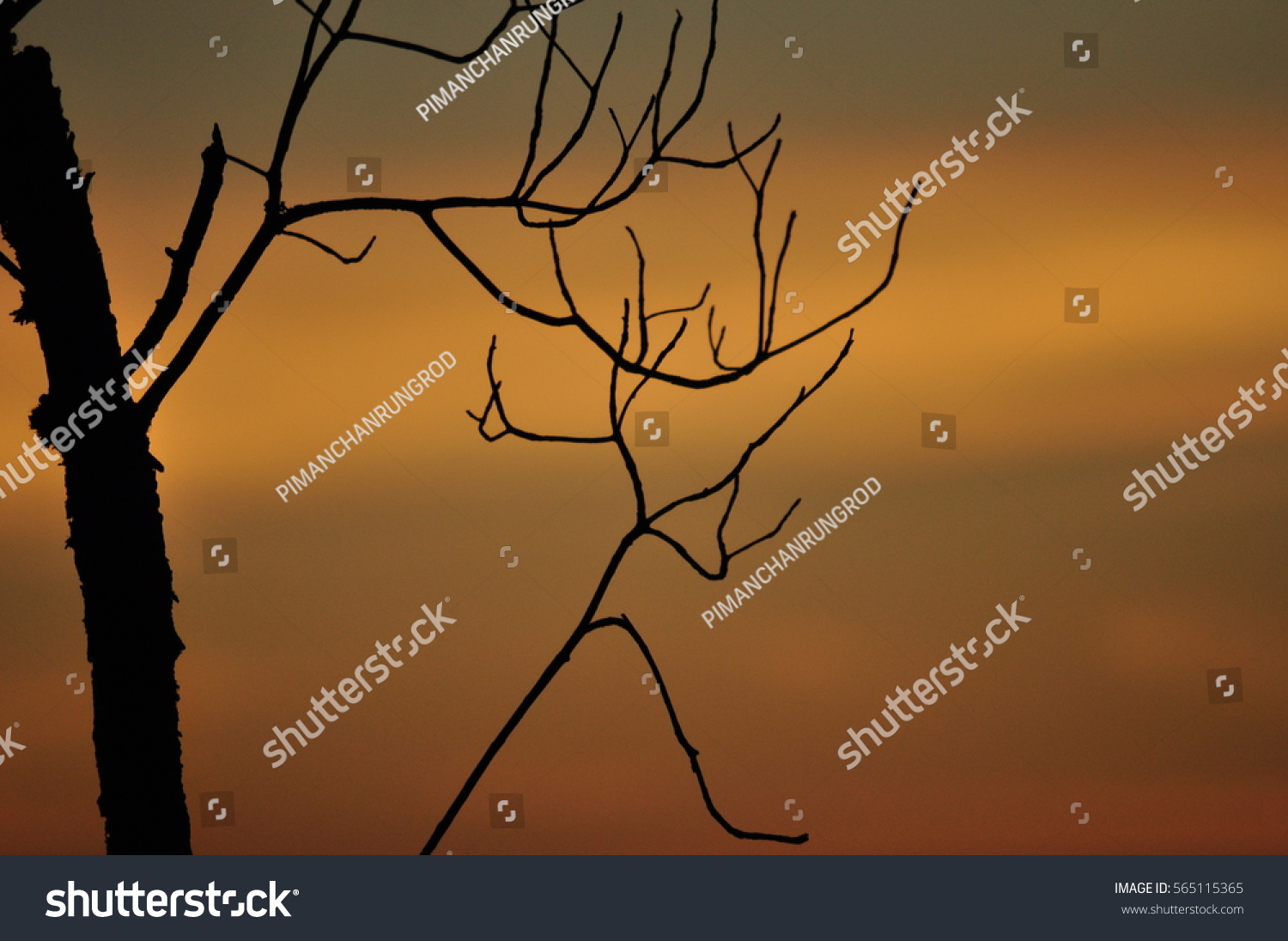 branchcache，branchcache可以删除吗