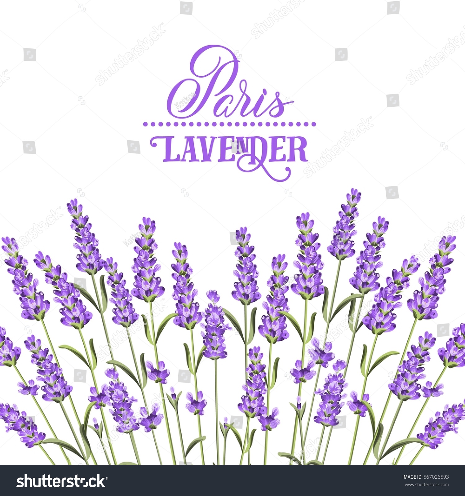 Wreath of lavender flowers in watercolor paint style. The lavender elegant card with frame of flowers and text. Lavender garland for your text presentation. Vector illustration.