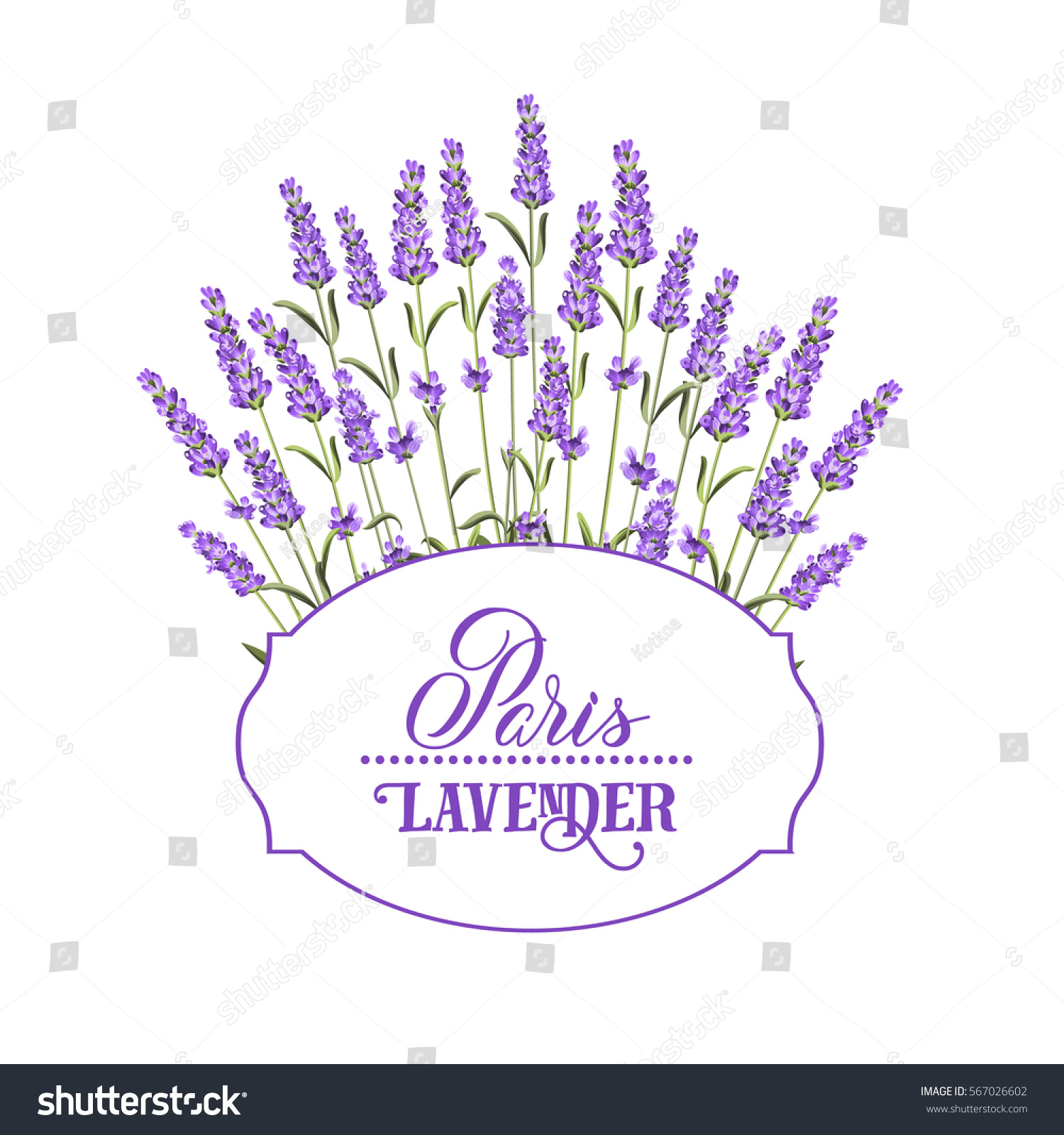 Wreath of lavender flowers in watercolor paint style. The lavender elegant card with frame of flowers and text. Lavender garland for your text presentation. Vector illustration.